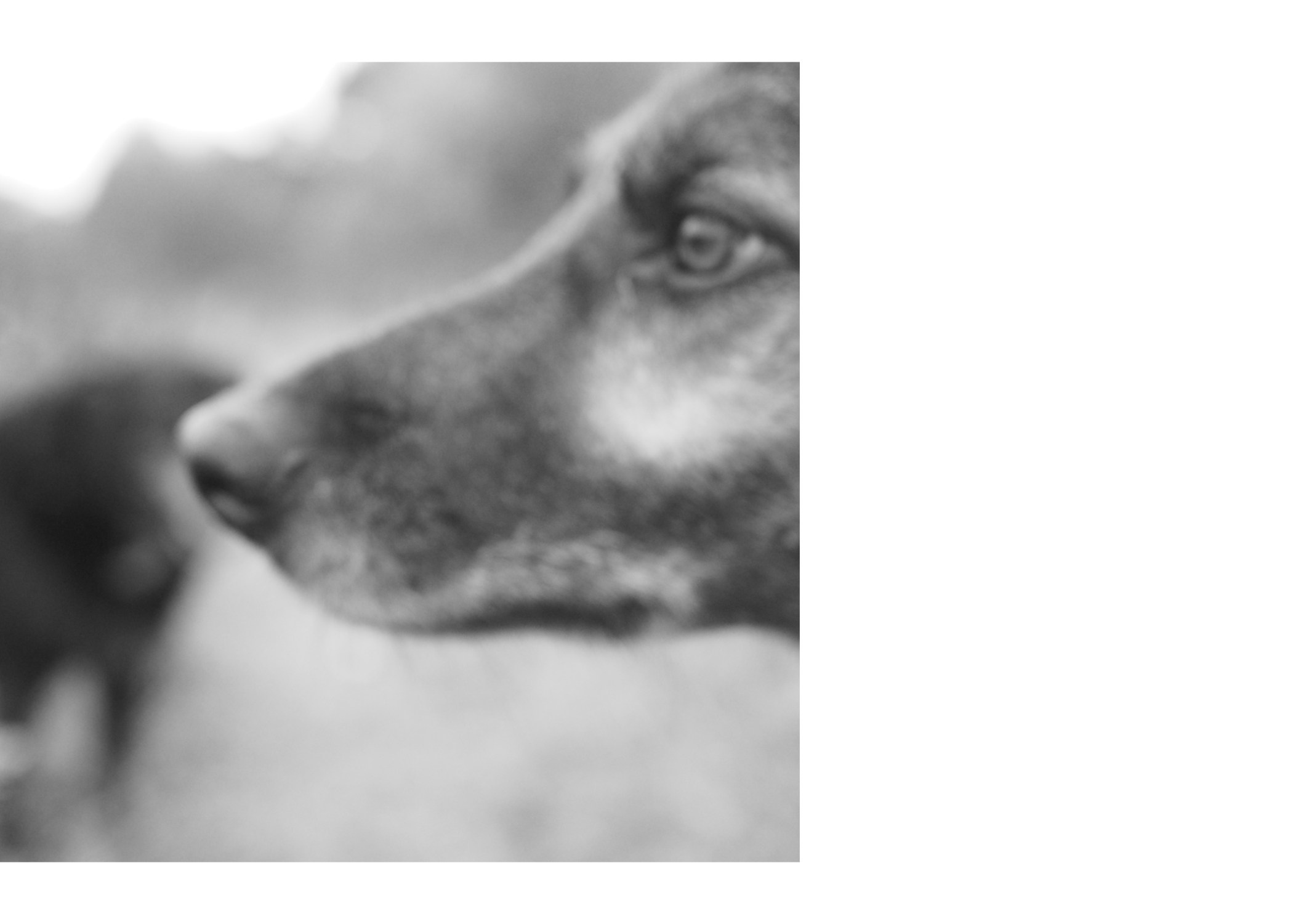 Горетово (2016-2022) — Избранные серии — Документальный фотограф Настя Сергеева