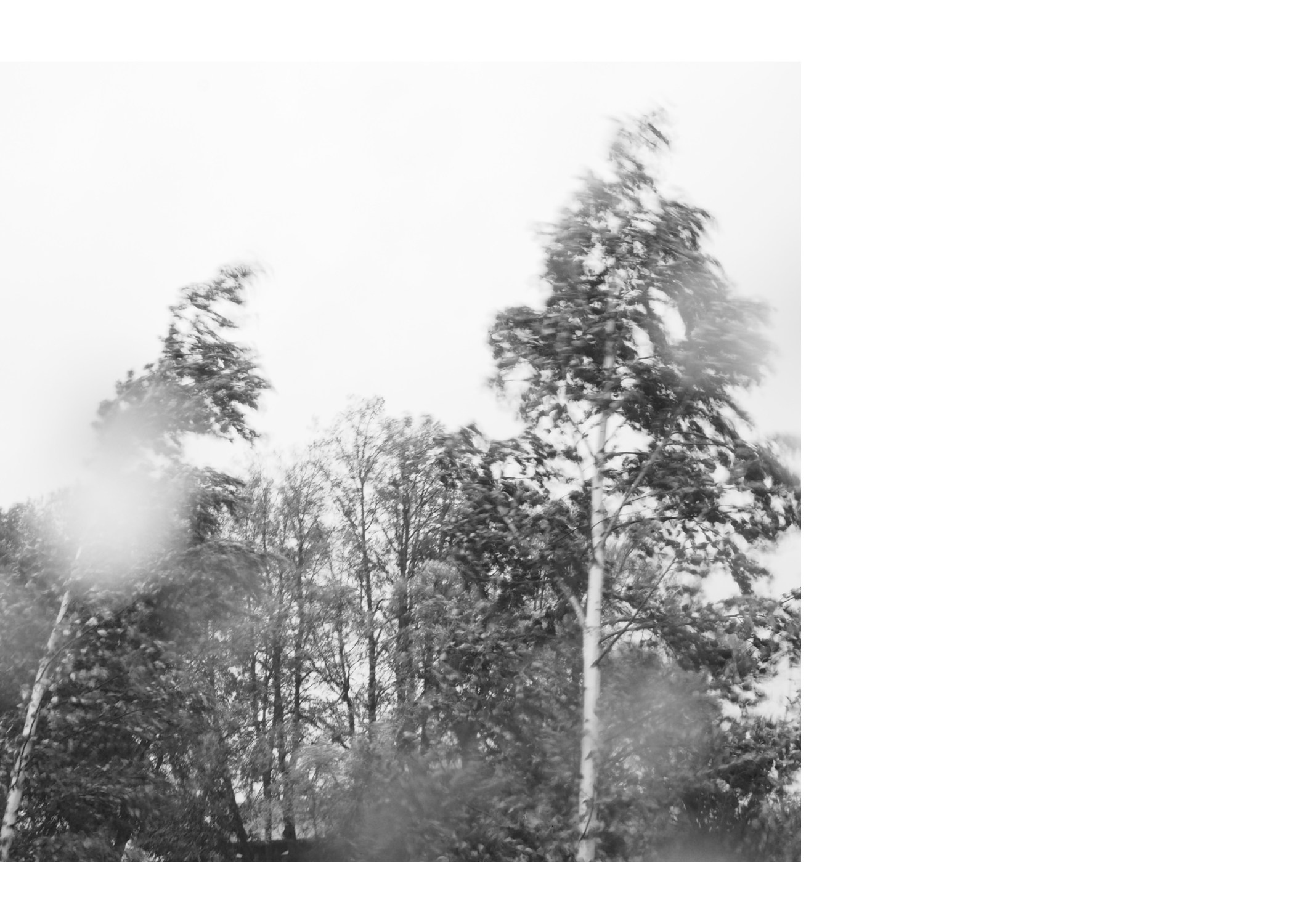 Горетово (2016-2022) — Избранные серии — Документальный фотограф Настя Сергеева