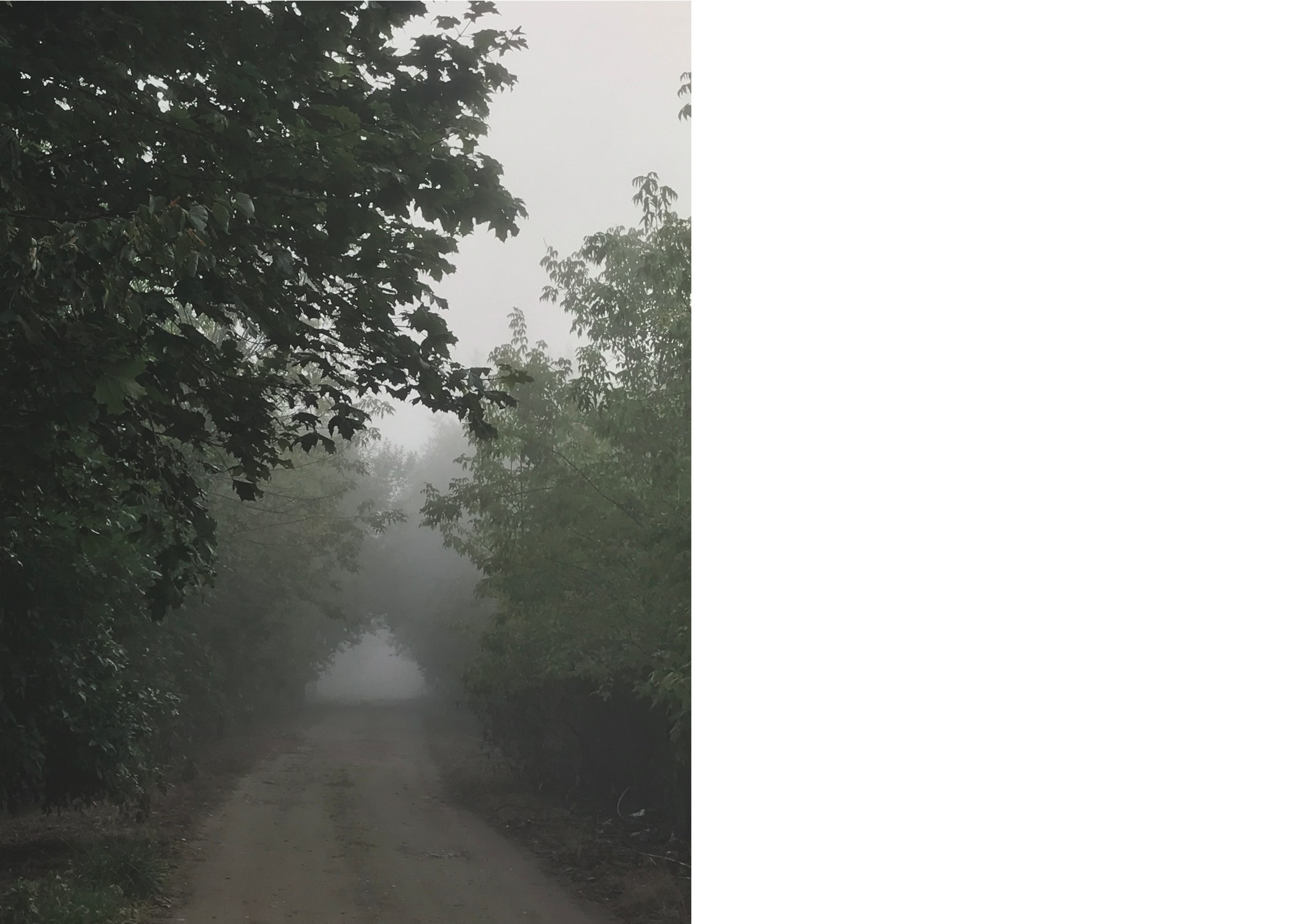 Горетово (2016-2022) — Избранные серии — Документальный фотограф Настя Сергеева