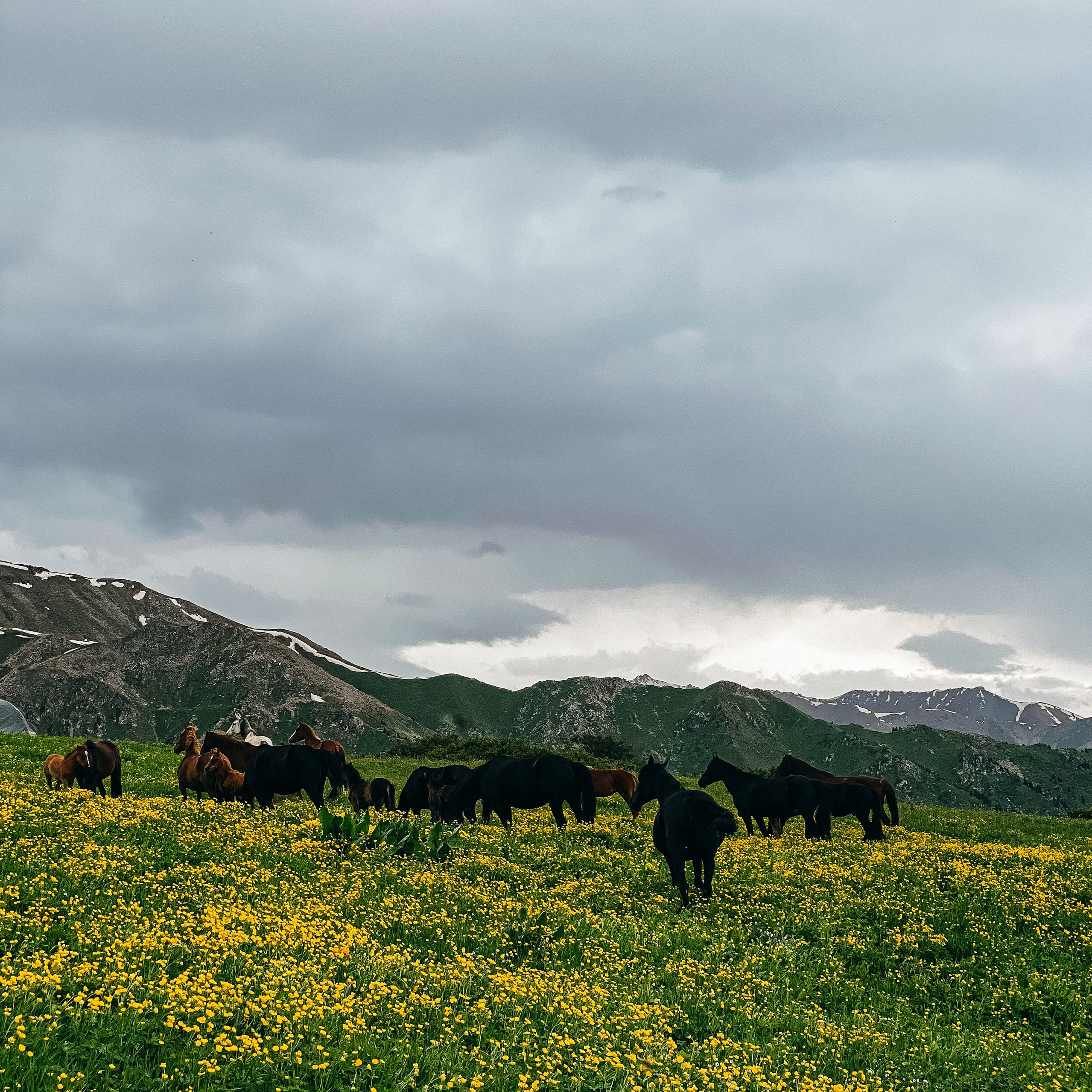 Интенсив по мобильной фотографии (1). Свадебный, семейный и портретный фотограф в Алматы, Костанай