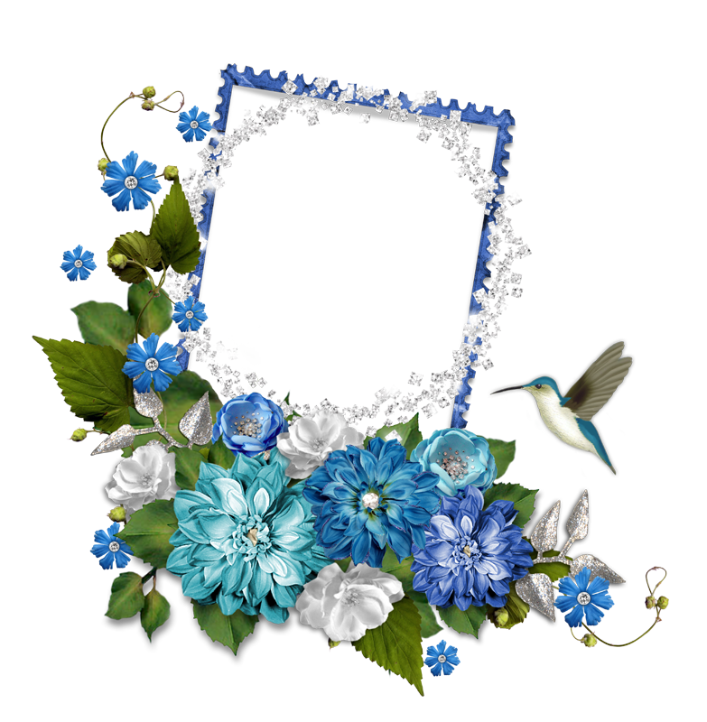 Фото товар. AISA Foto