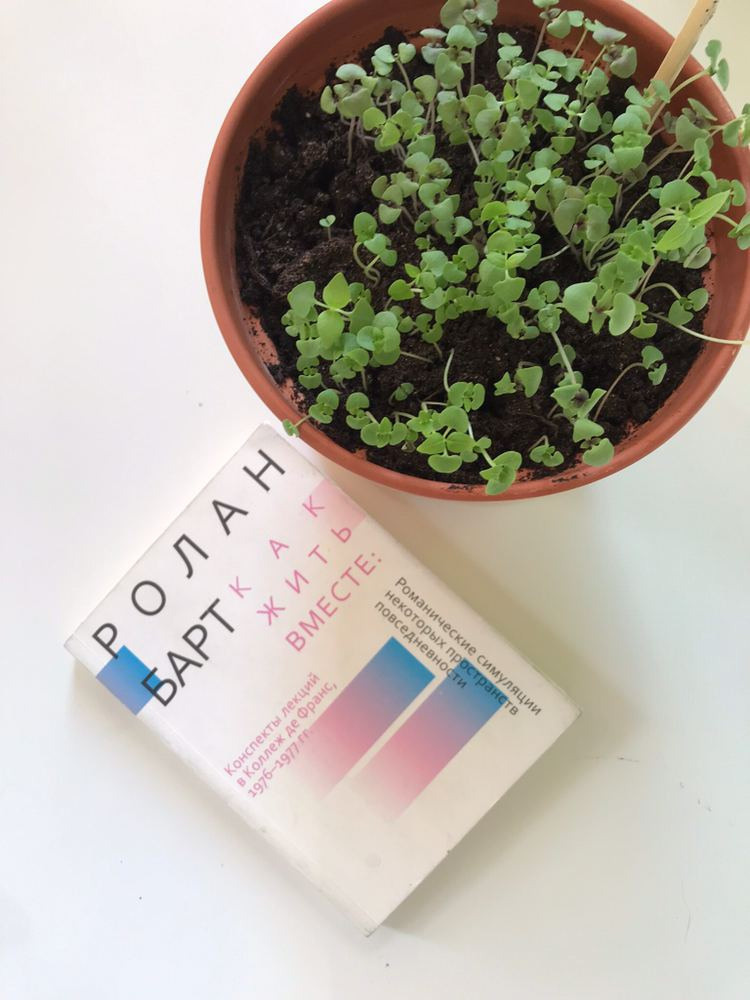 Екатерина Юшкевич: ''Часто шучу над тем, что меня расстраивает''