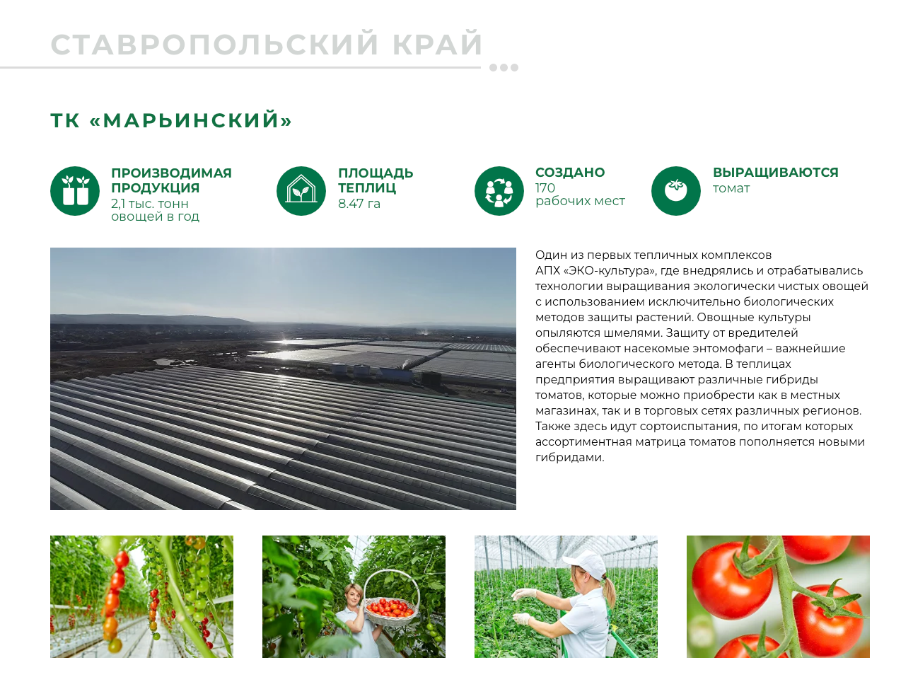 Эко-Культура