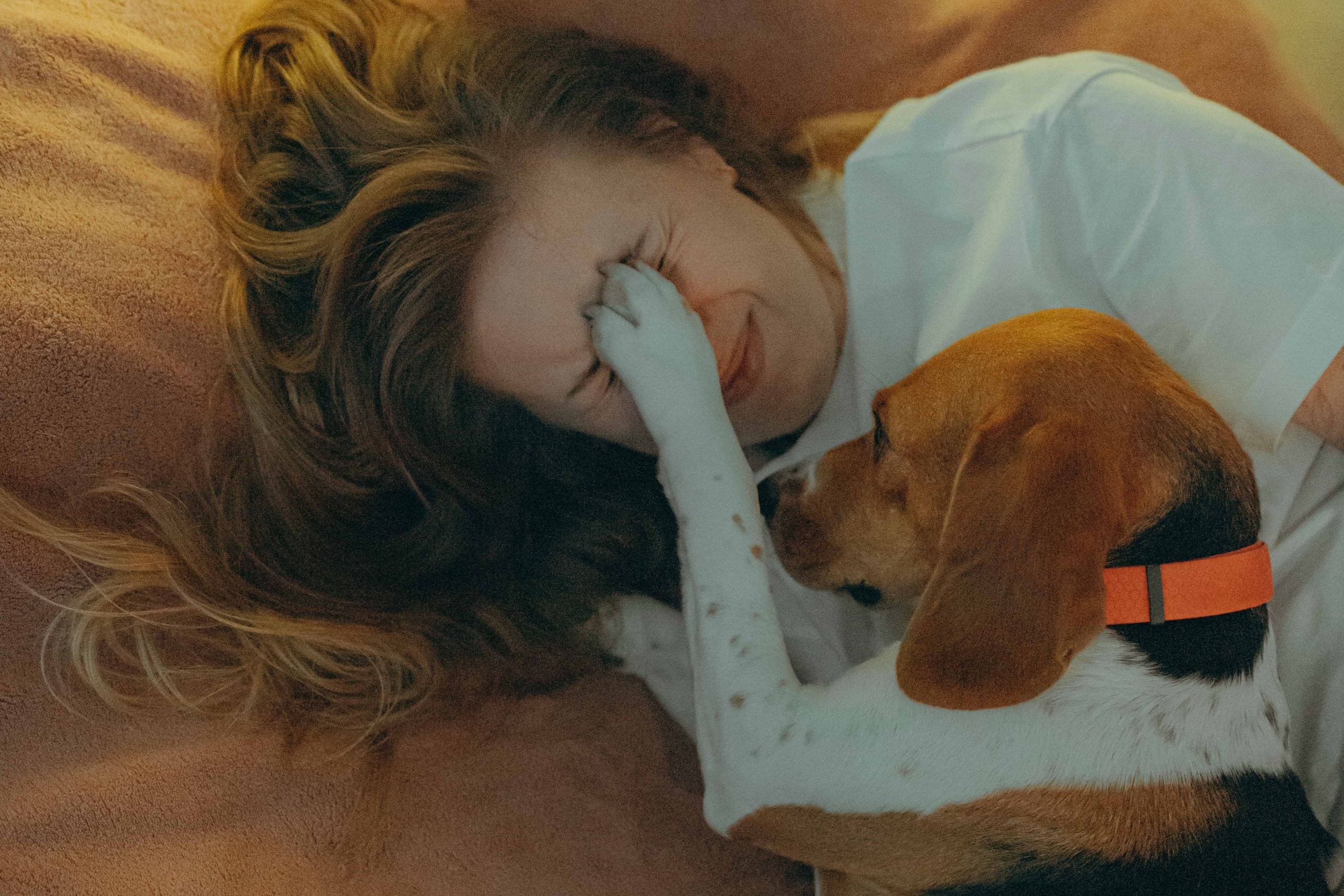 Прайс. Фотограф-анималист в Москве Лера Черноног