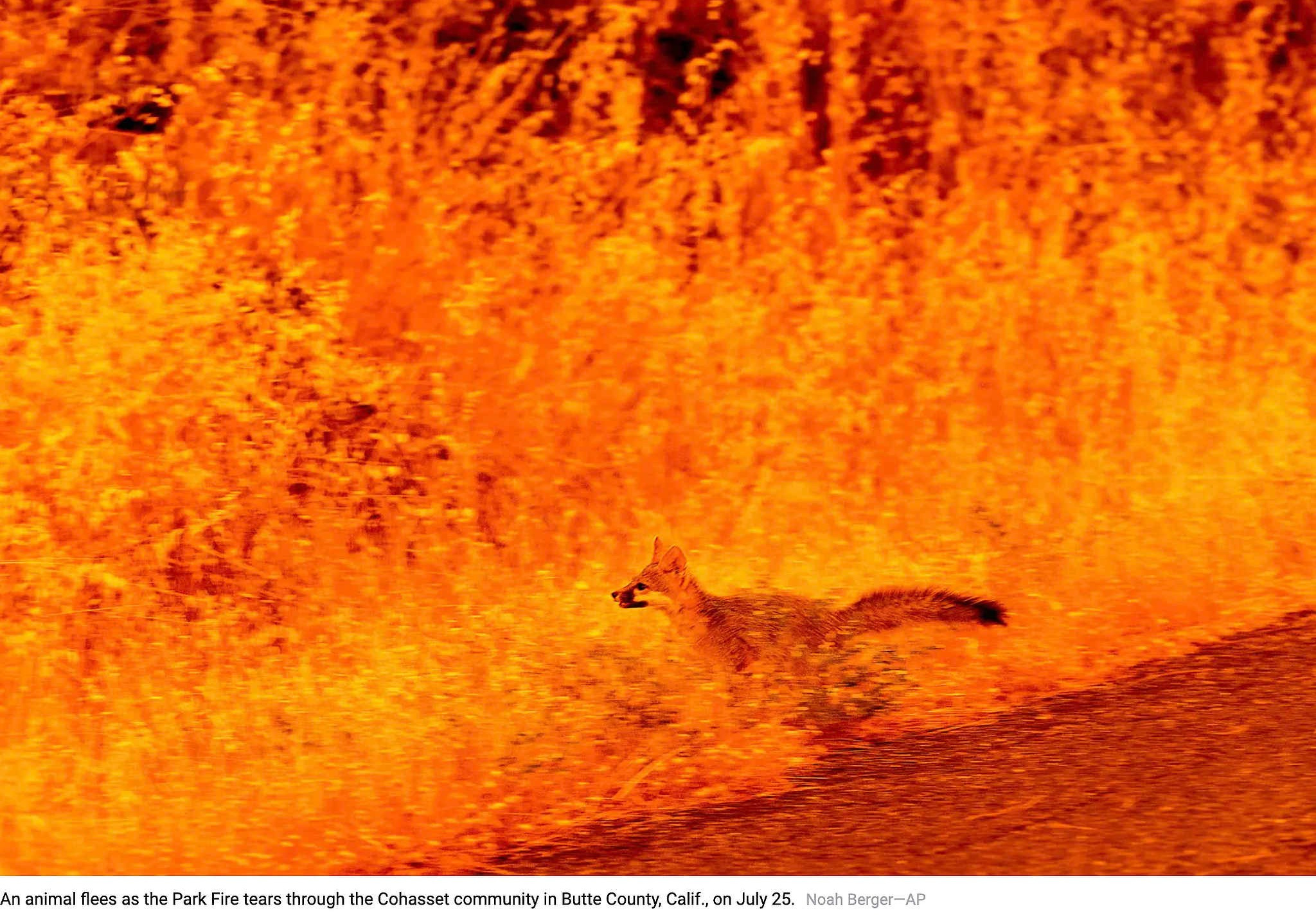 100 лучших фотографий за 2024 год. Подборка журнала Time. Фотограф Михаил Мордасов, Сочи. Мероприятия, портреты, спорт, репортаж
