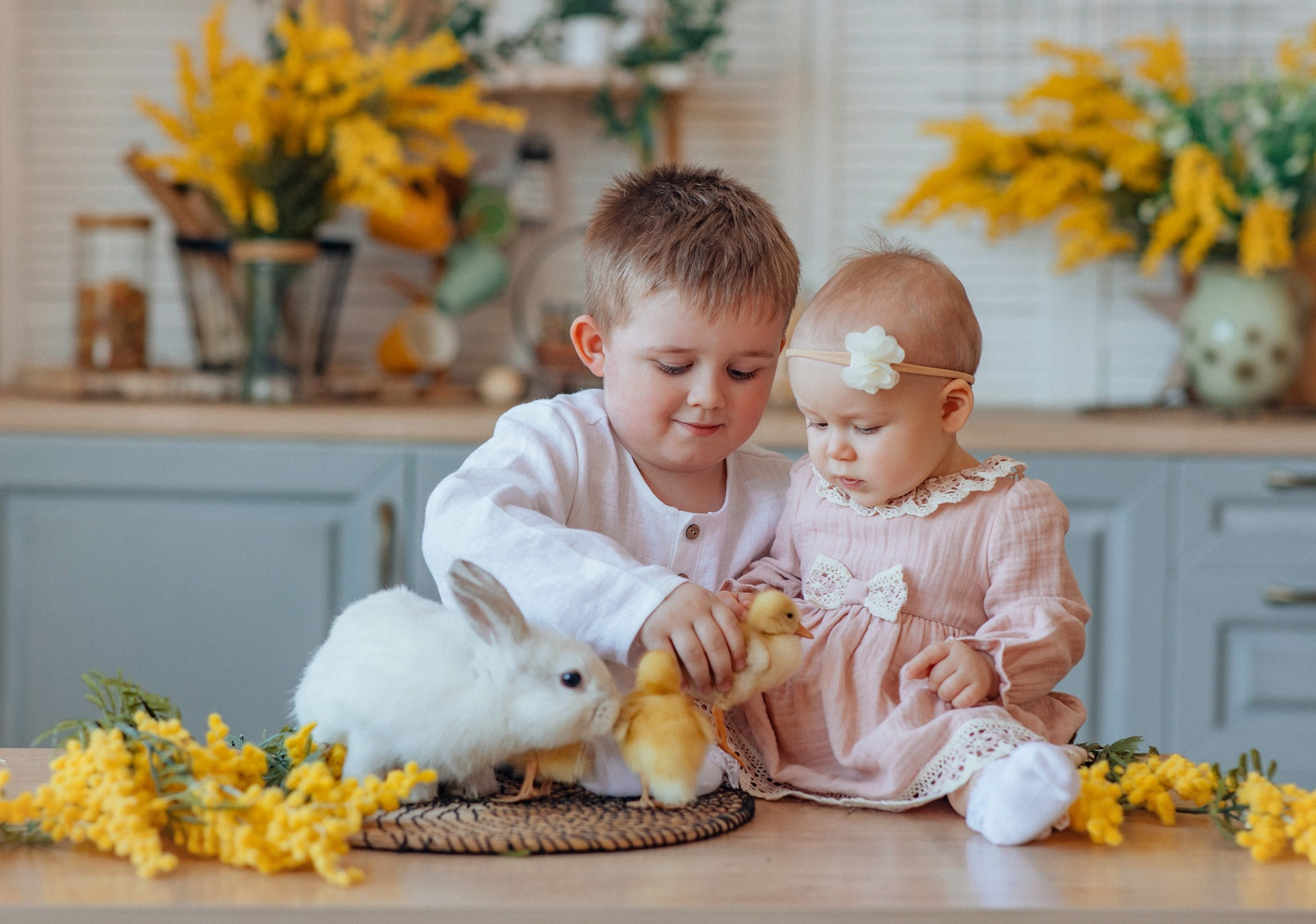 Расписание съёмок. Детский и семейный фотограф с животными в Москве Гурьева Надежда