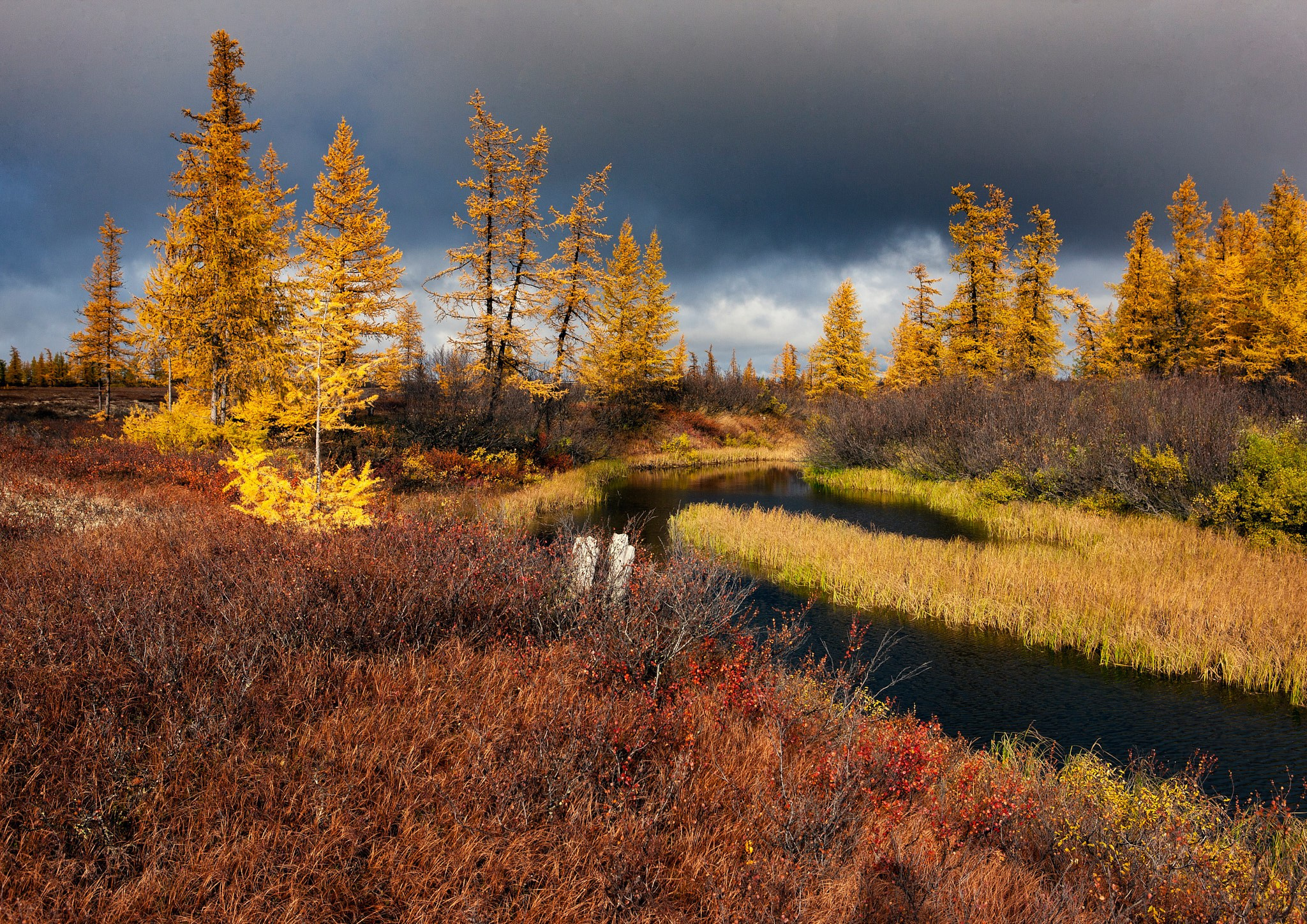 Природа. Главная