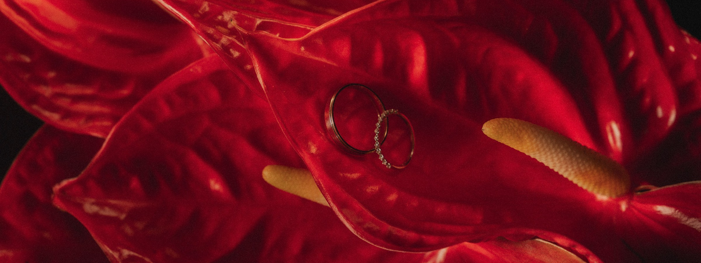 Свадебный и портретный фотограф в Москве, Светлана Янковая