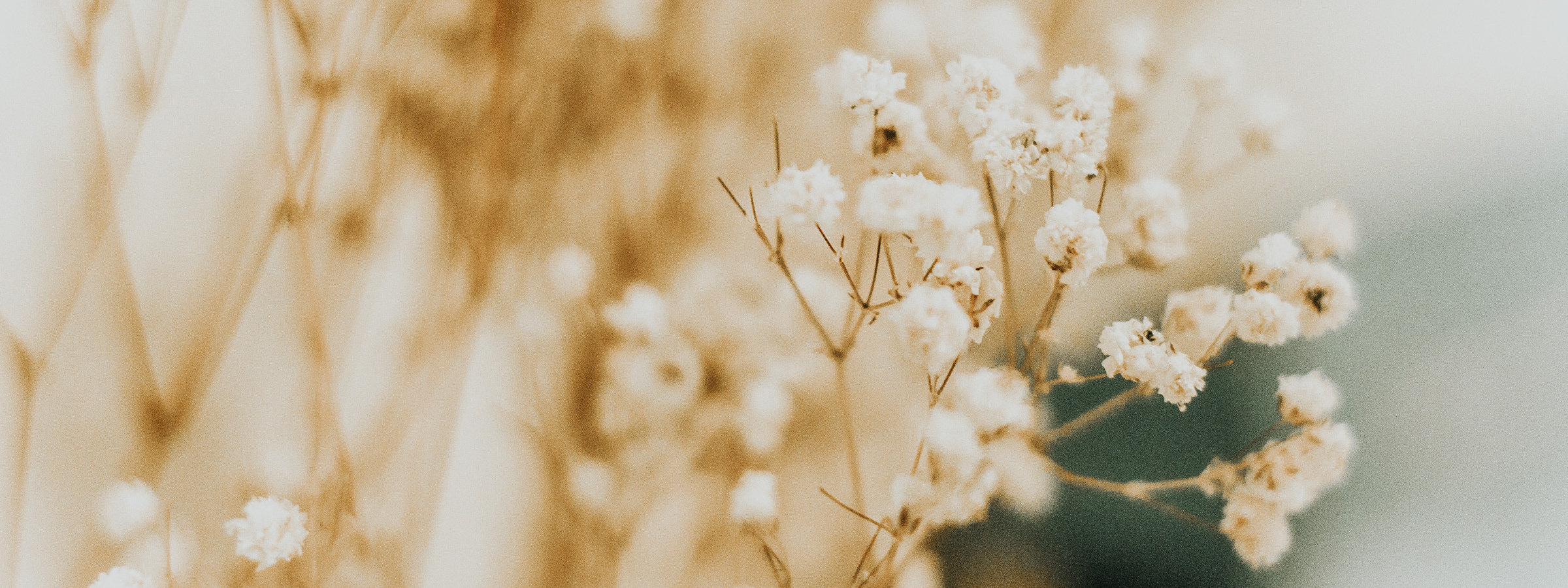 Контакты. Контент-фотограф Юлия|Санкт-Петербург|Питер