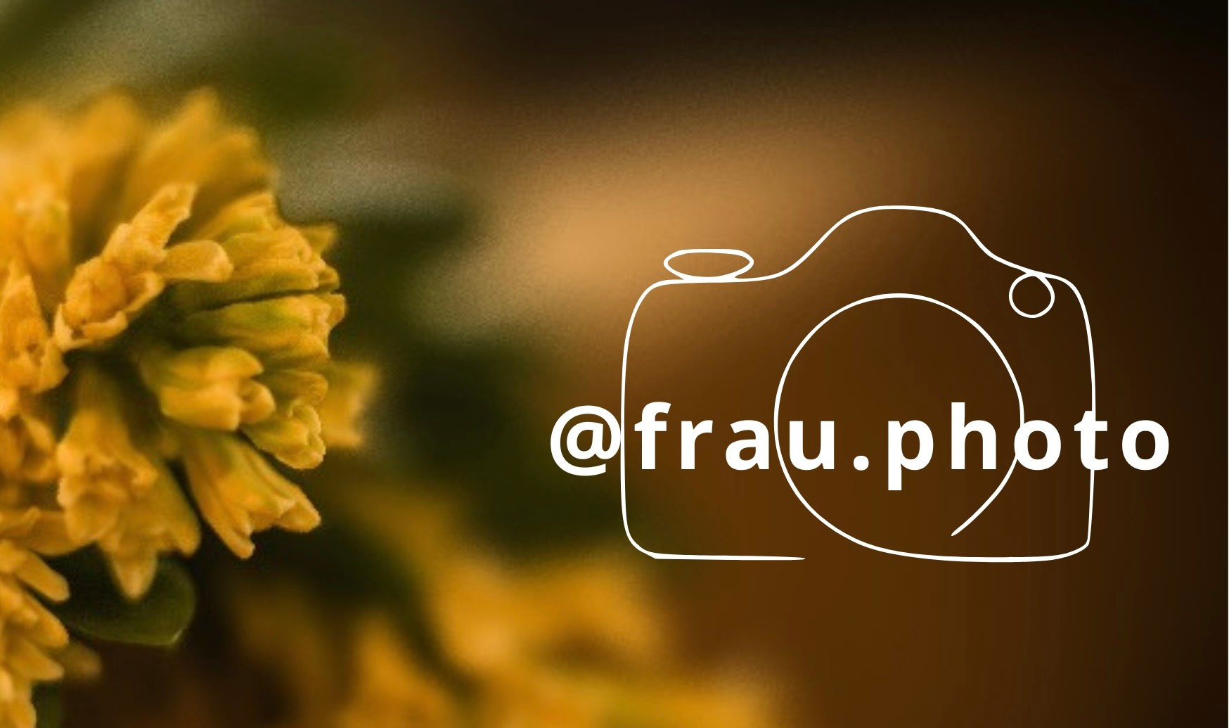 Услуги. Фотограф в Екатеринбурге Полина Гмызина