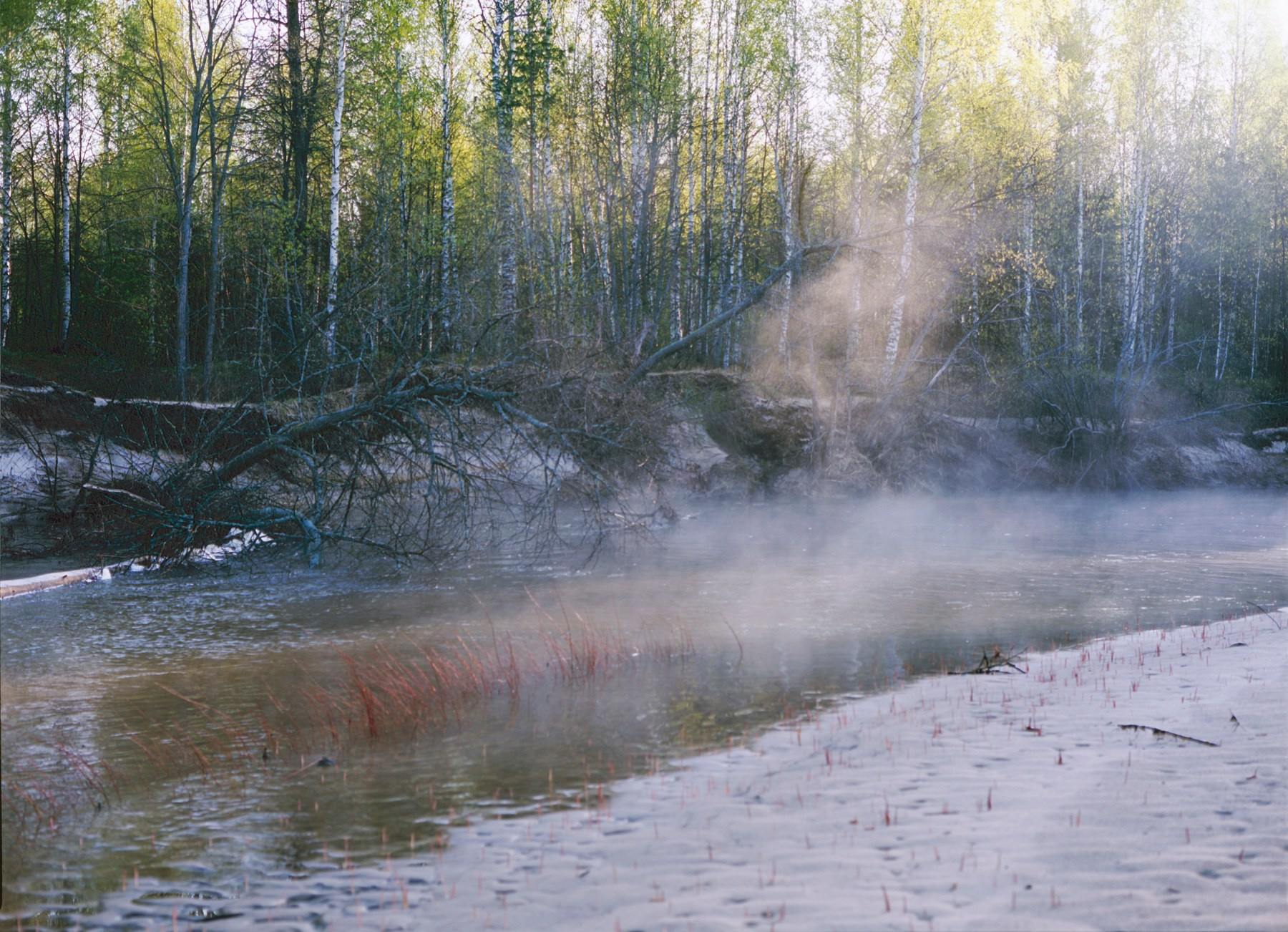 Весеннее обновление. OLGA OLEYNIKOVA Пространство, люди, смыслы