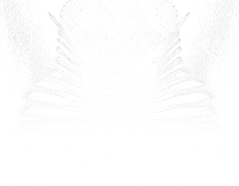 donbrova.com