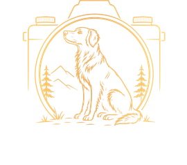 vishphoto.ru