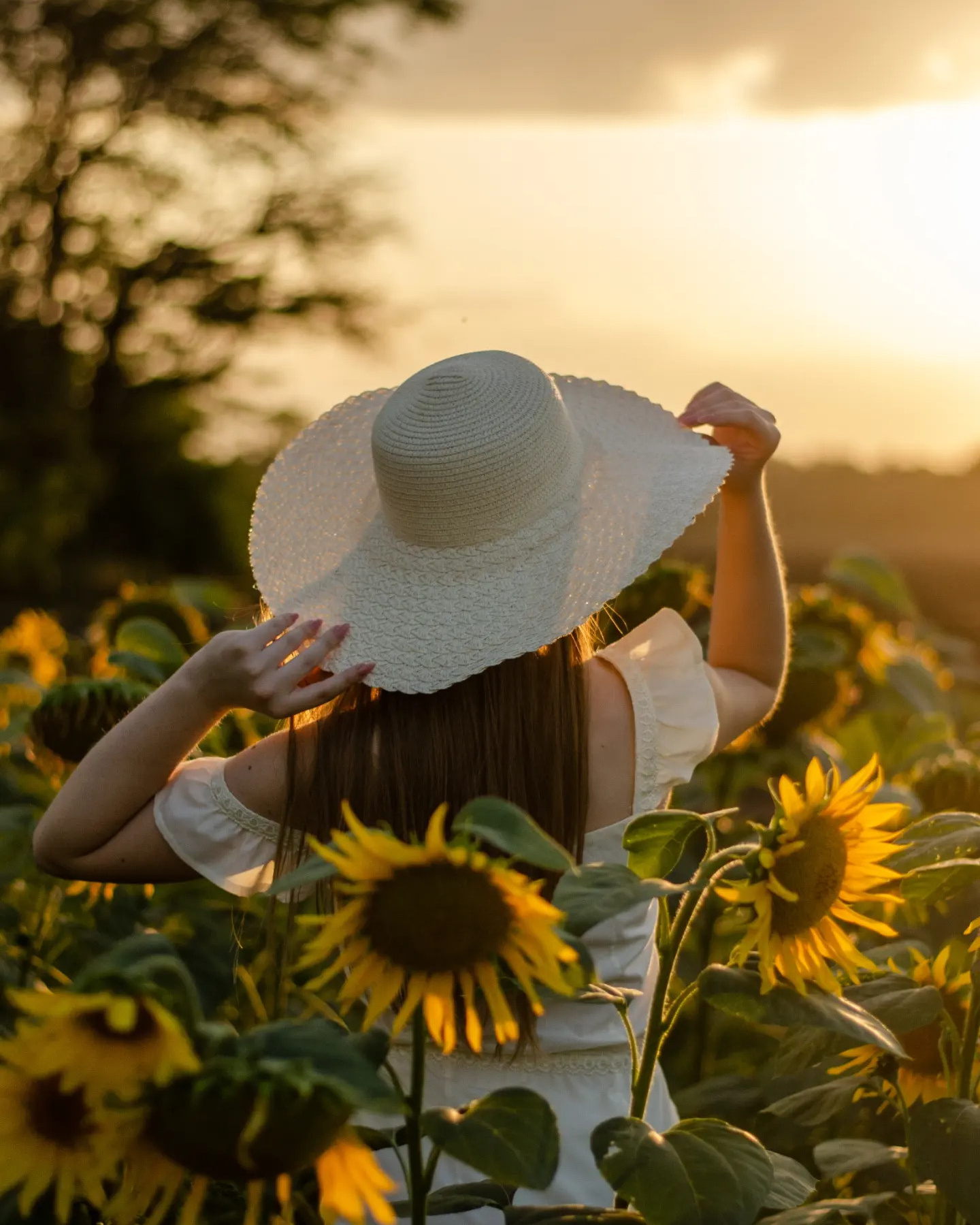 Услуги. Фотограф в Армавире