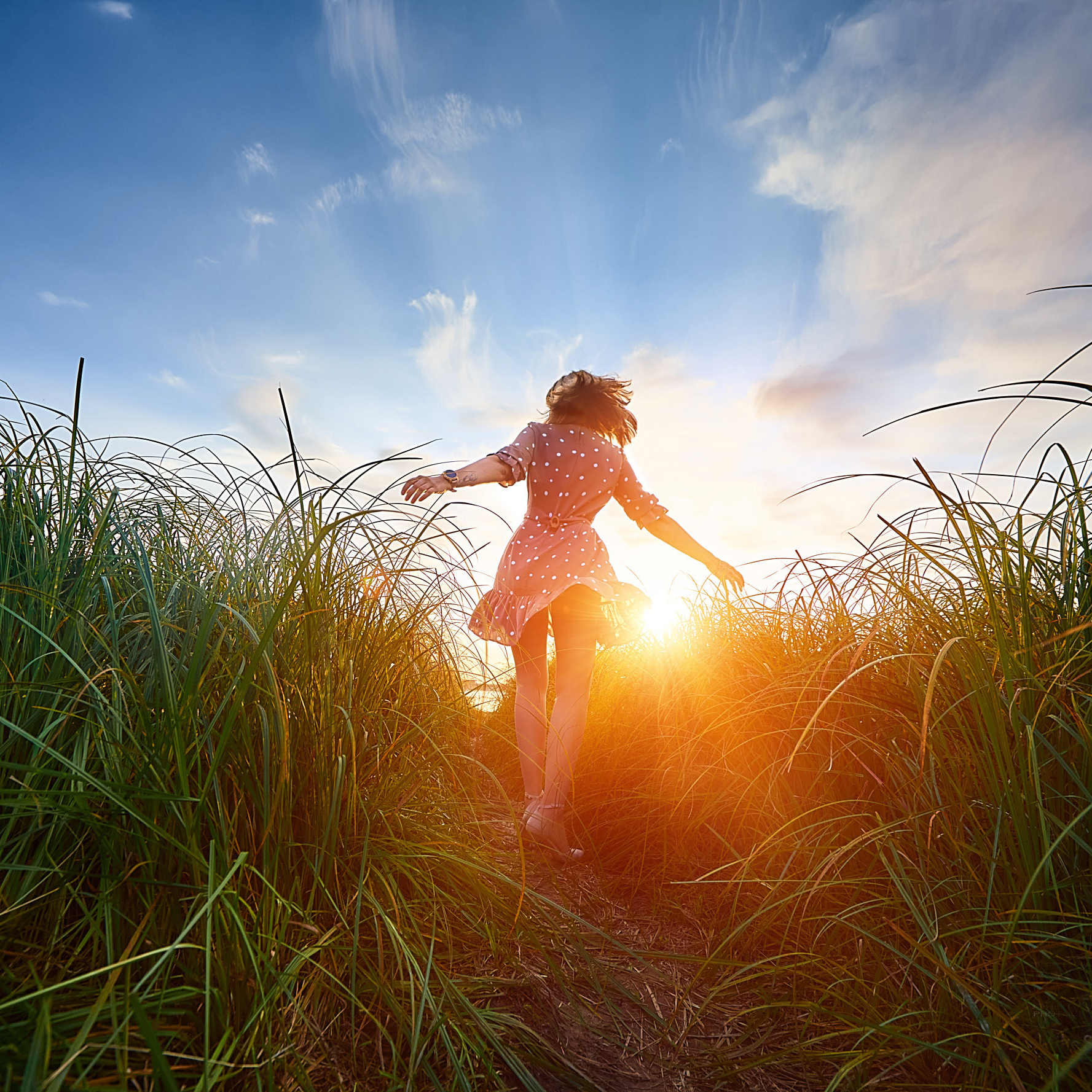 Стройная девушка в красном платье раскинув руки бежит по высокой траве навстречу красивому рассвету солнца