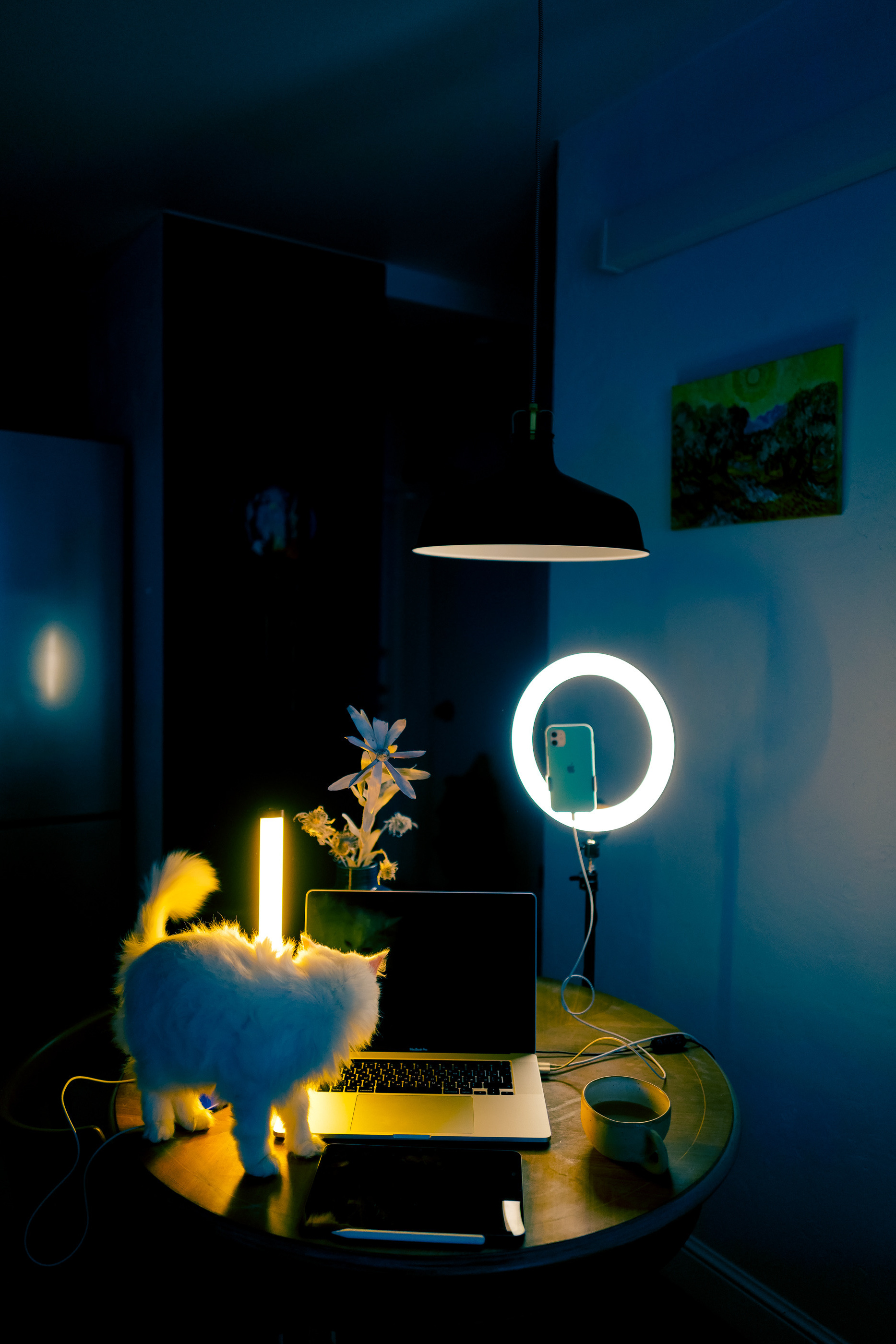 Обучение. Соня Черных (sophieblack)