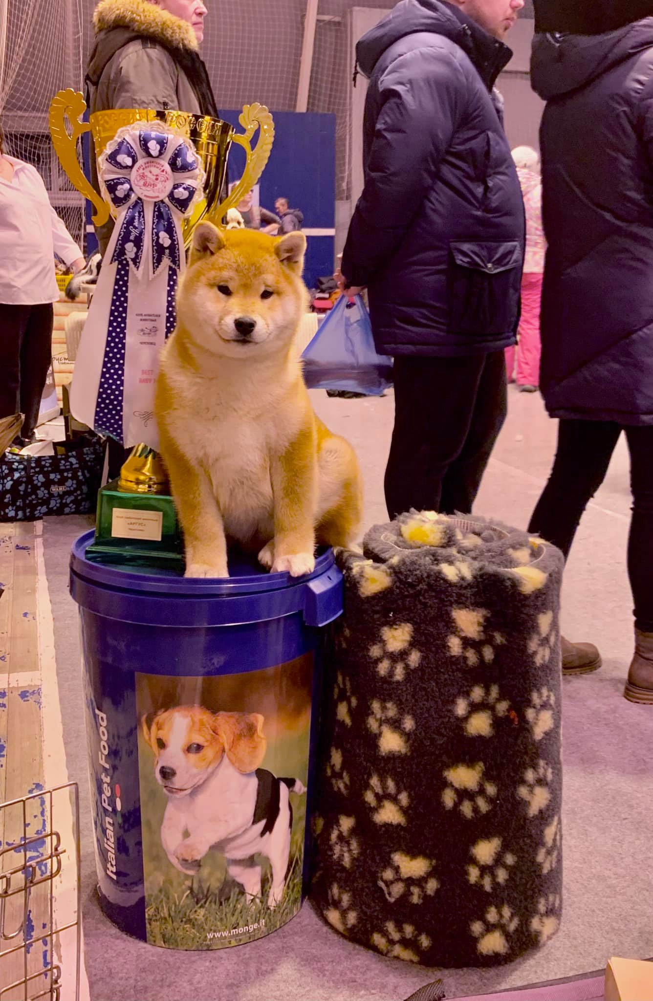 2022. SHIOMARU Shiba and Akita Inu Kennel