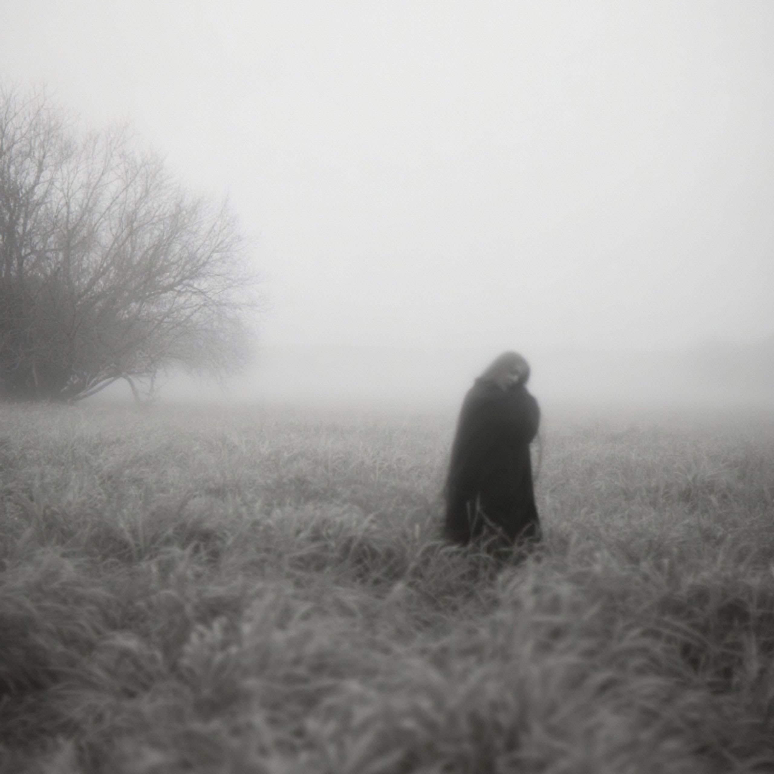 Фотограф в Нефтеюганске