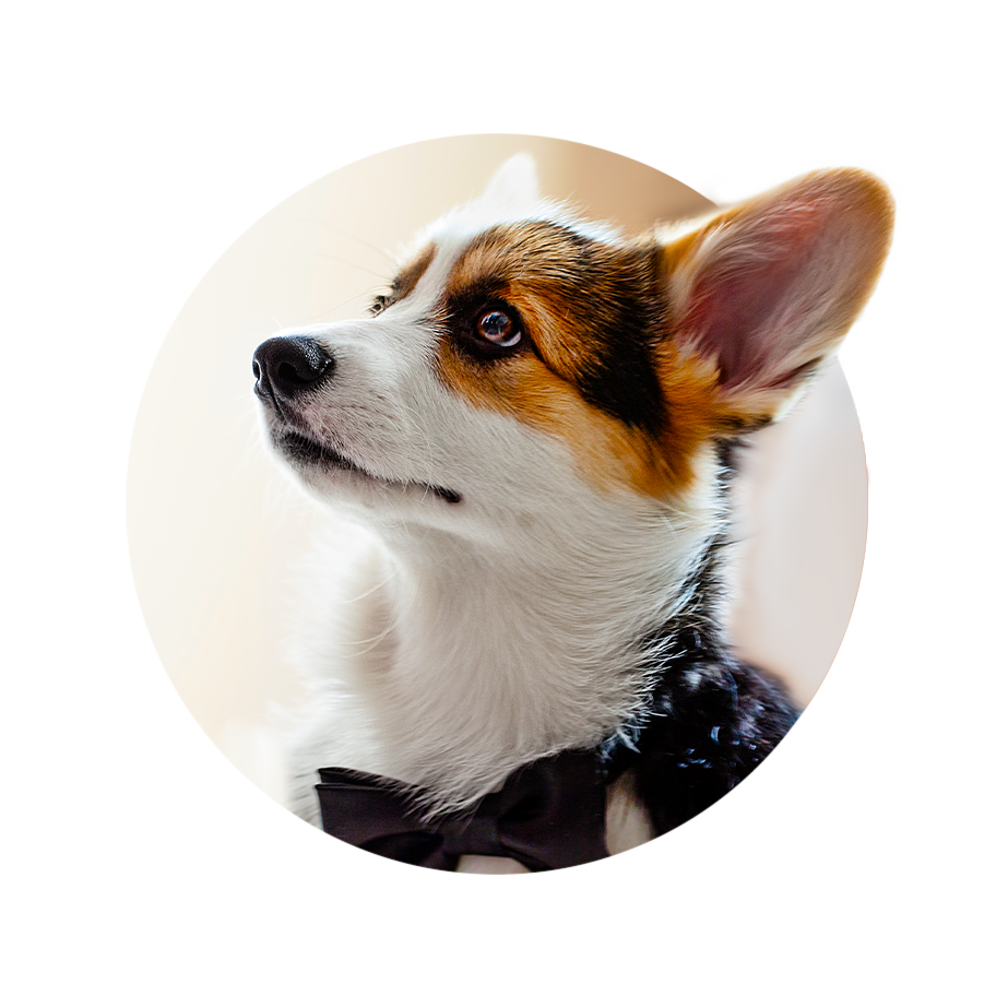 Контакты. Retouch By Paw