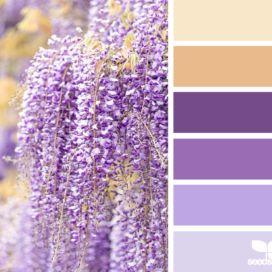 Локации и их цветовые гармонии. Степанова Анна.Детский и семейный фотограф Крым