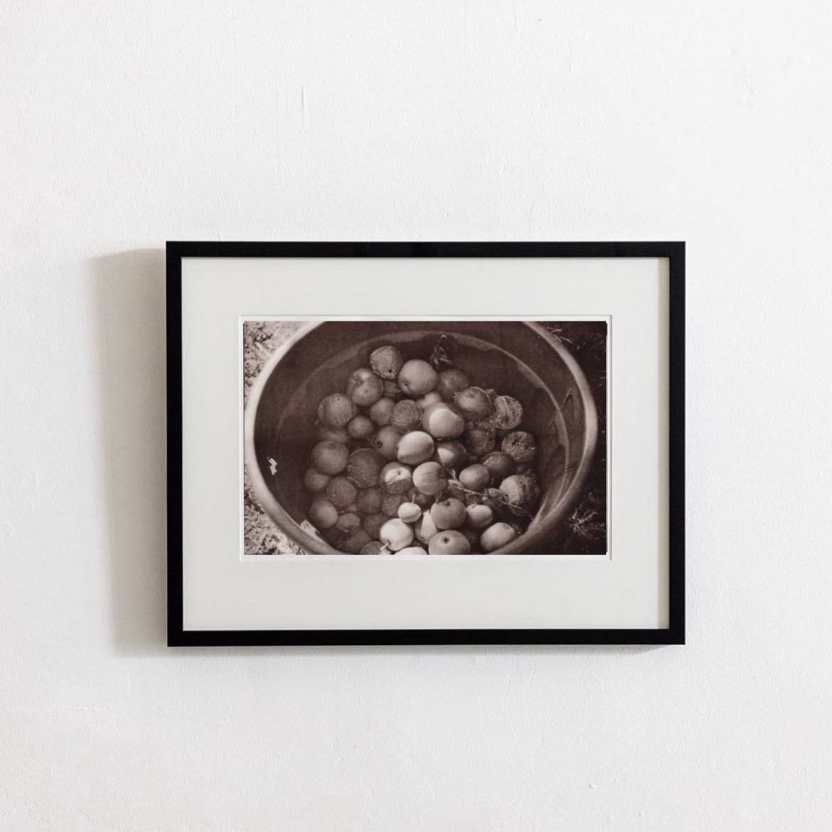 Ручные методы печати. Аналоговые отпечатки. Лит-печать. Татьяна Мищенко — фотохудожник. Междисциплинарный художник, основные медиумы: фотография, графика, коллаж. Портретный фотограф город Дубна