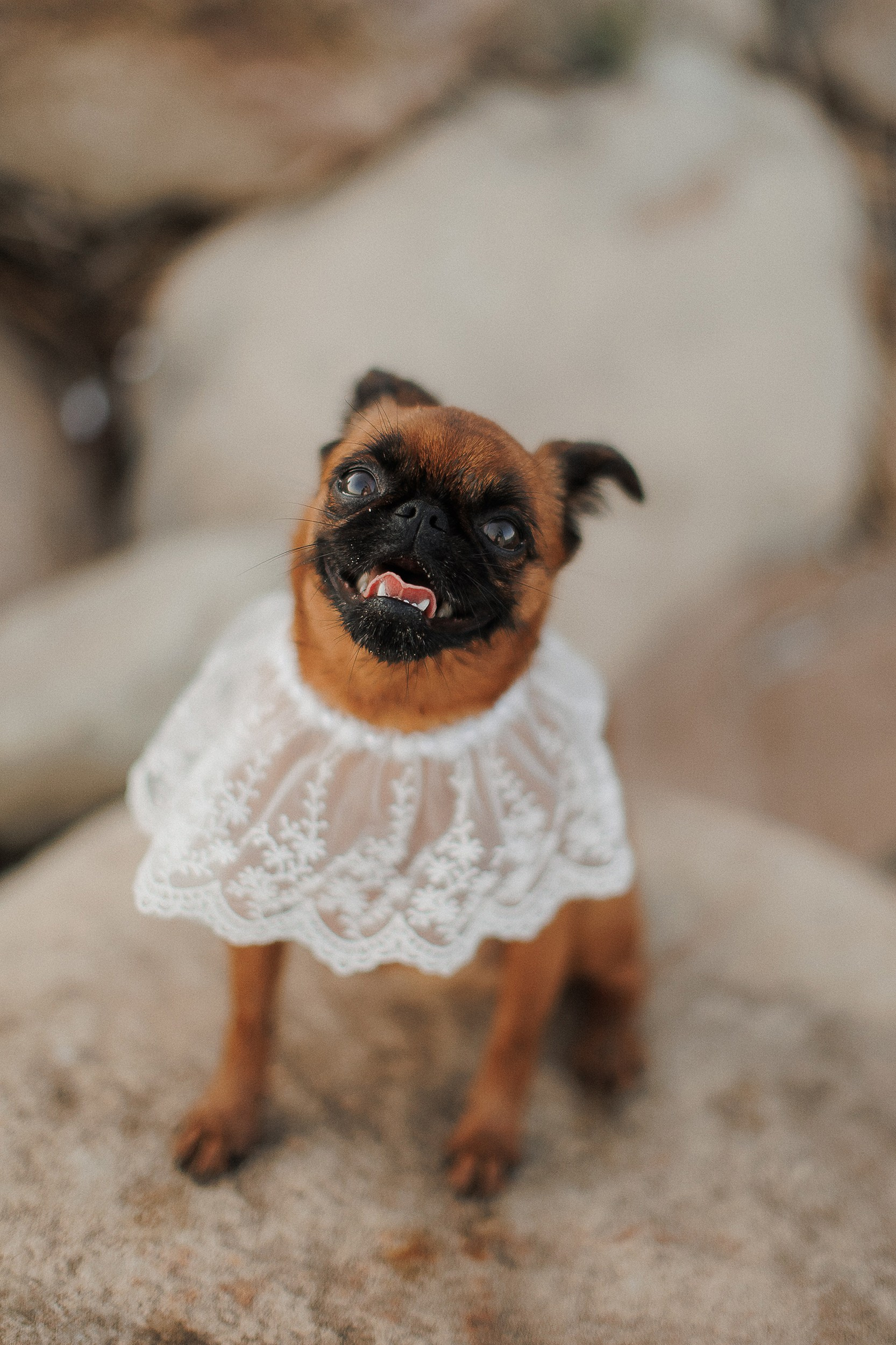 Стоимость. Семейный, свадебный и персональный фотограф в Вологде Виктория Долгопо