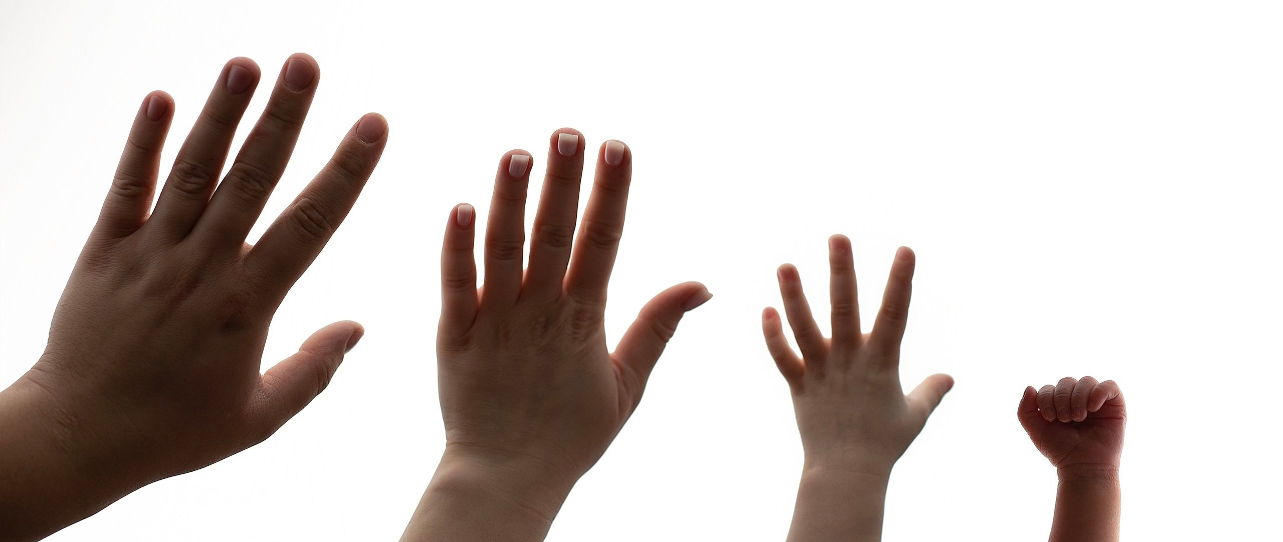 Руки всех членов семьи