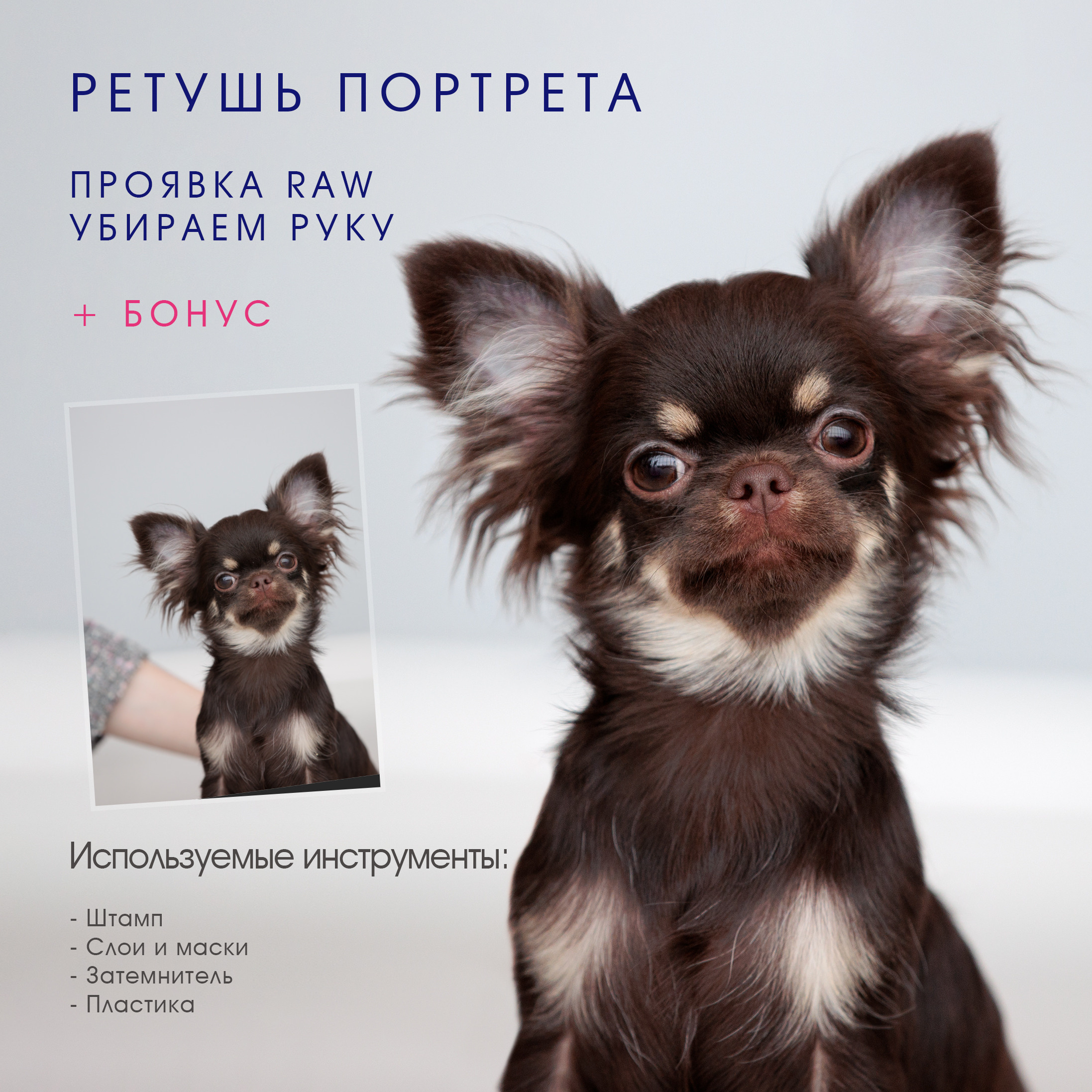 РЕТУШЬ ПОРТРЕТОВ v.2. ФОТОГРАФ-АНИМАЛИСТ l LANA POLYAKOVA