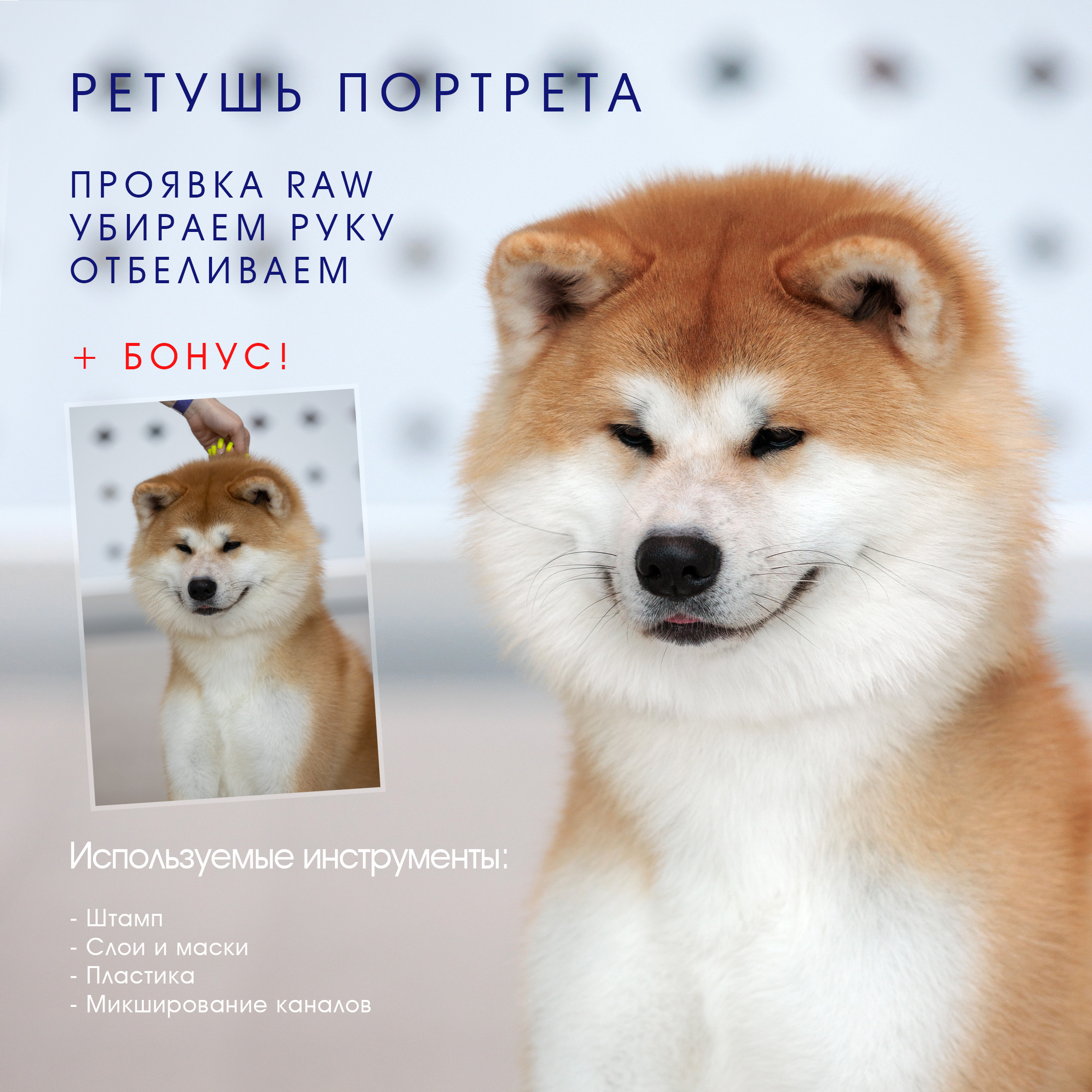 РЕТУШЬ ПОРТРЕТОВ v.2. ФОТОГРАФ-АНИМАЛИСТ l LANA POLYAKOVA