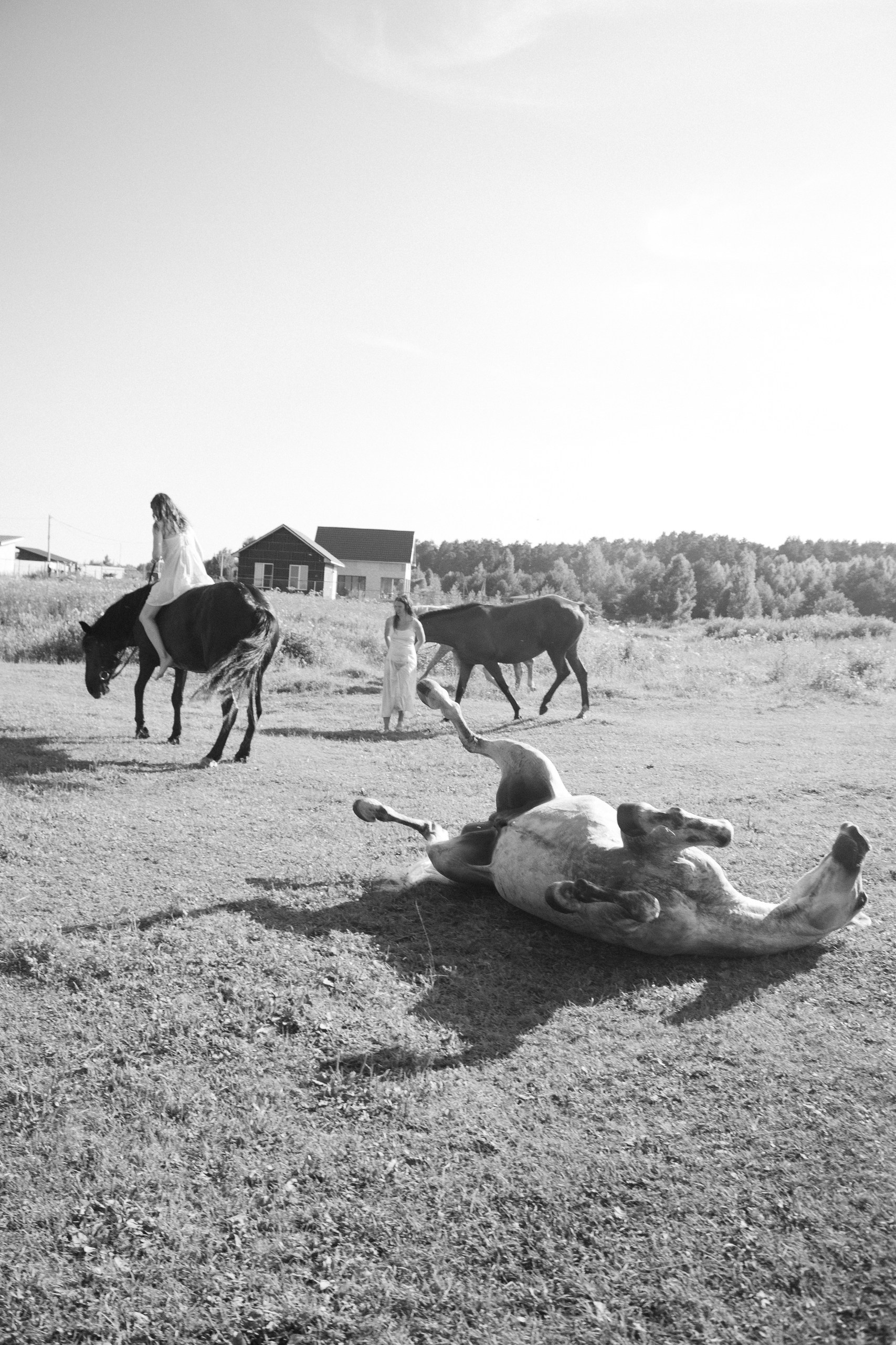 «Доверие без слов». Арт-ню фотограф, Фотохудожник в Москве Анна Форс