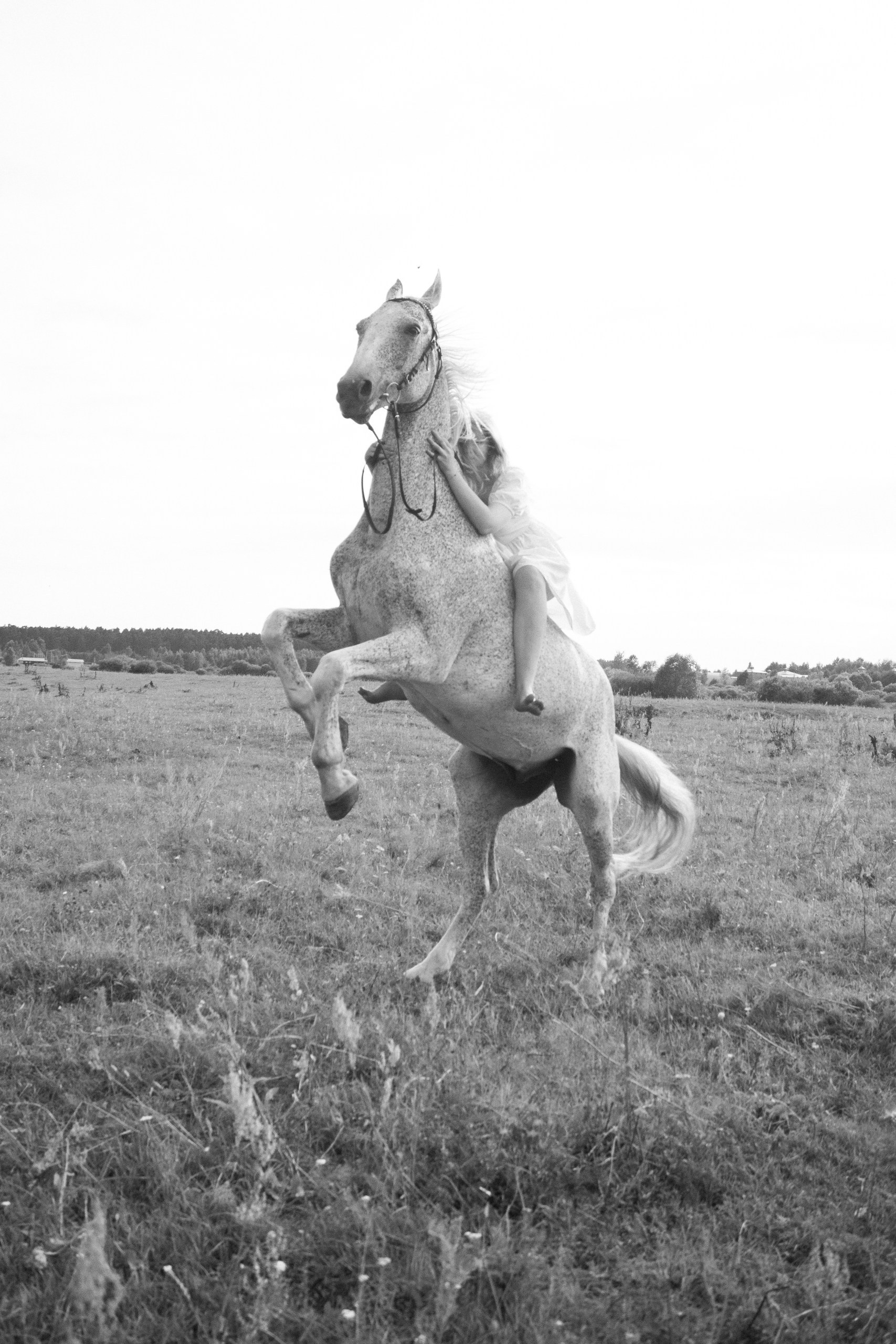 «Доверие без слов». Арт-ню фотограф, Фотохудожник в Москве Анна Форс