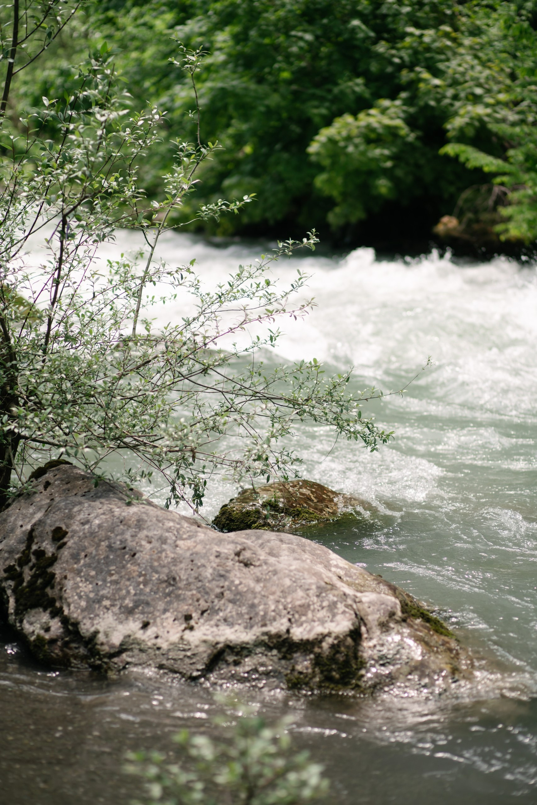 Авторский фото тур «Девичник в Новом Афоне». Семейный фотограф и видеограф Ростов-на-Дону