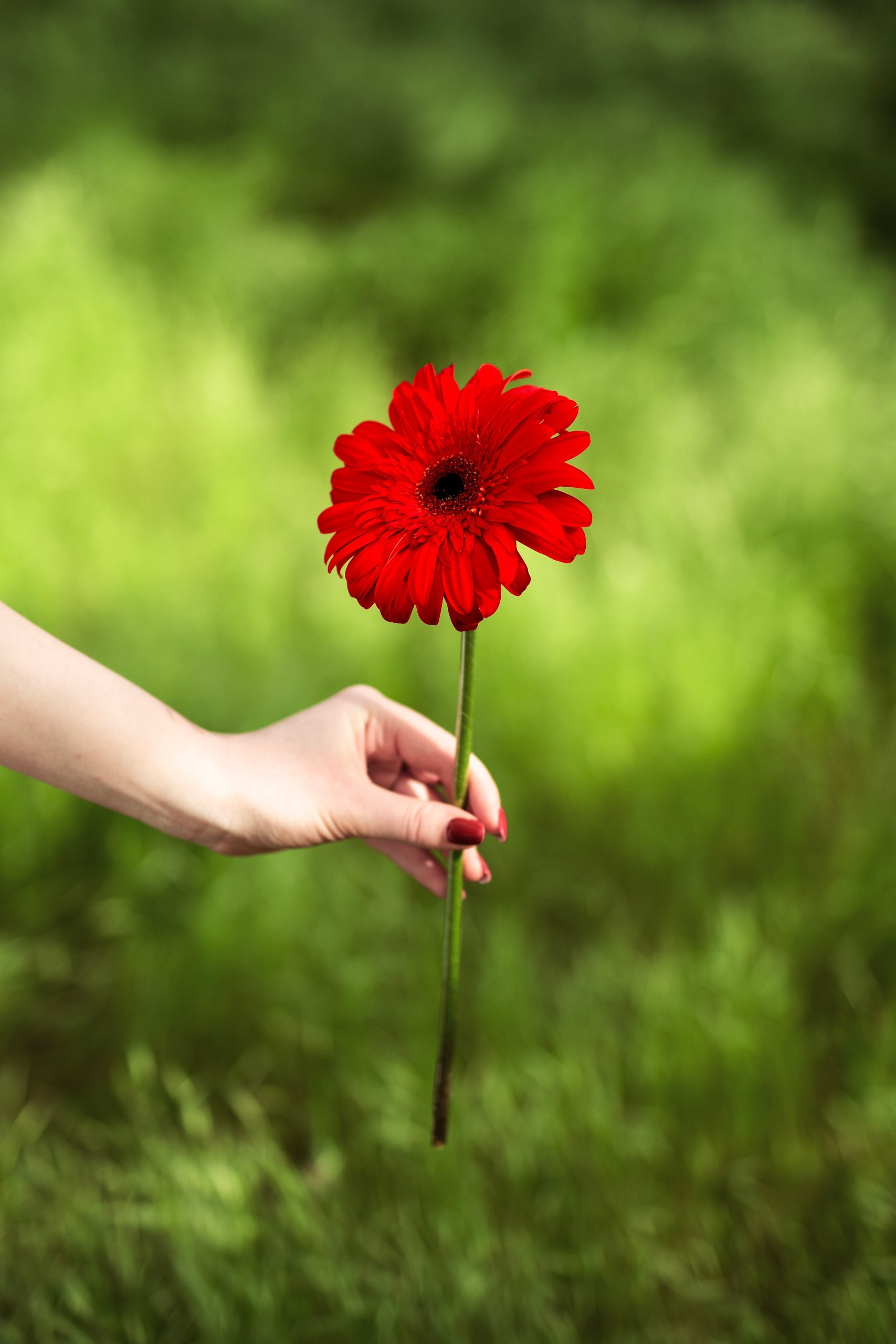 Фотосессия на природе в Краснодаре | Фотосессия в парке, саду