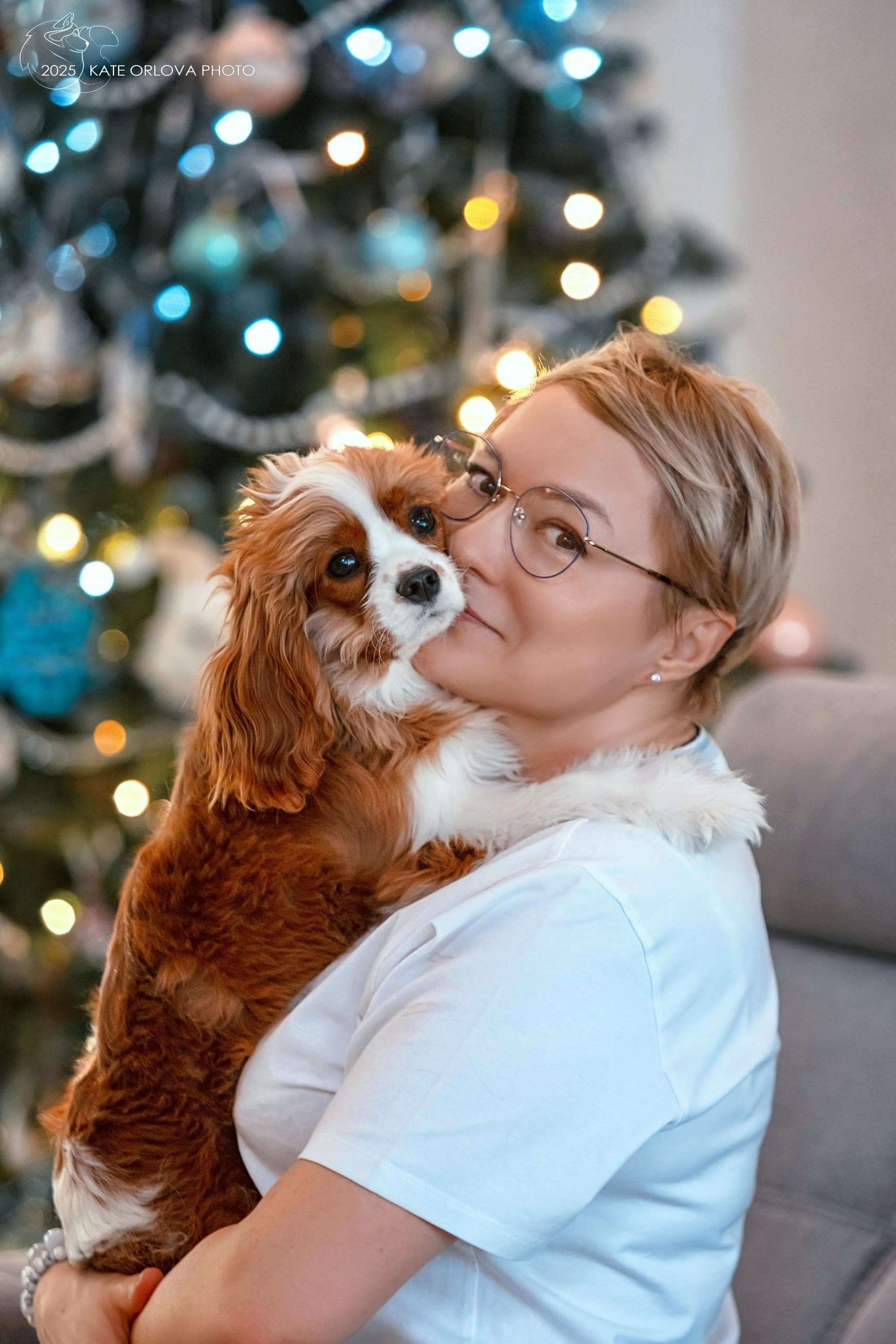 Контакты. Питомник кавалер кинг чарльз спаниелей