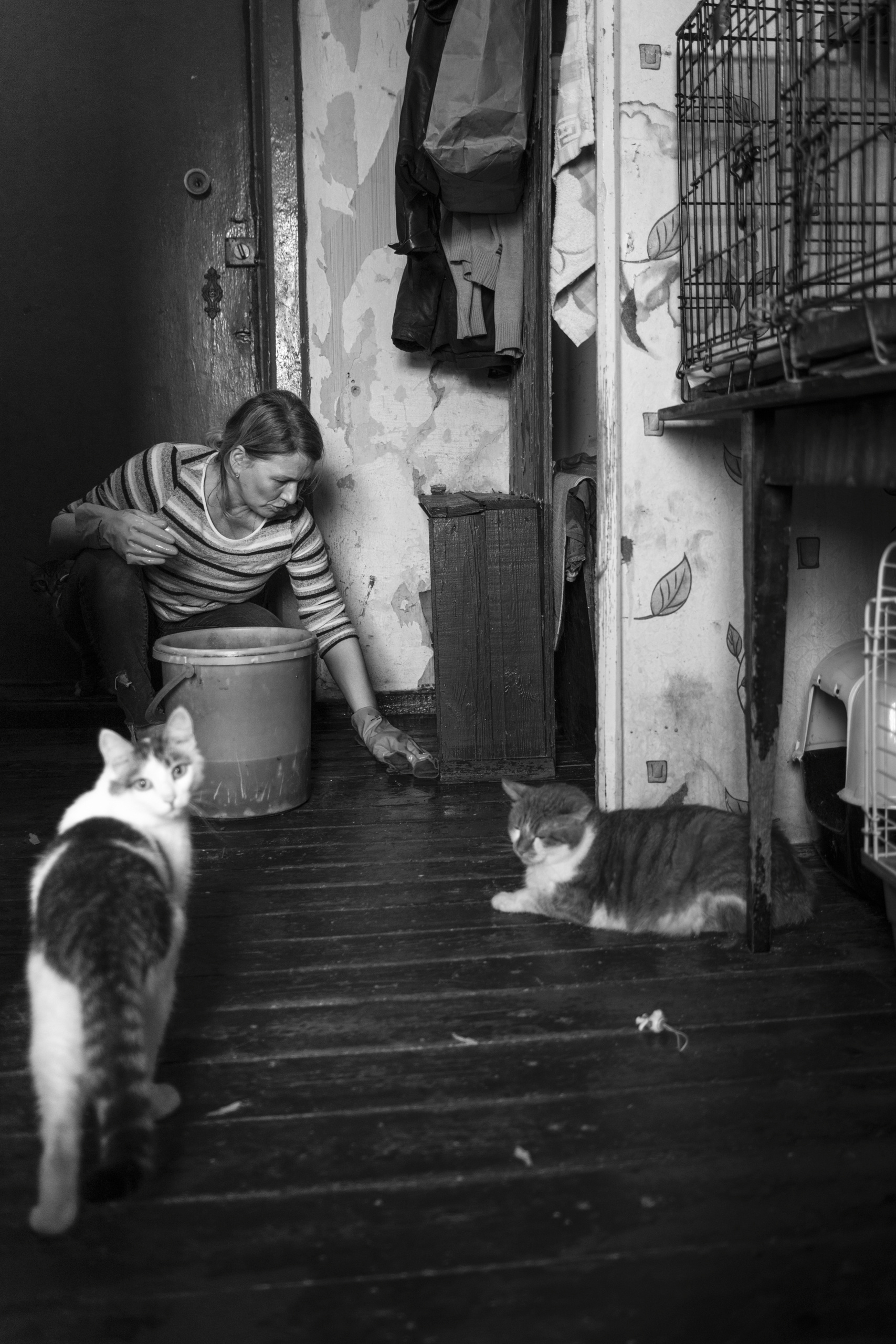 A place where light lives. Plechinta Ekaterina documentary photographer