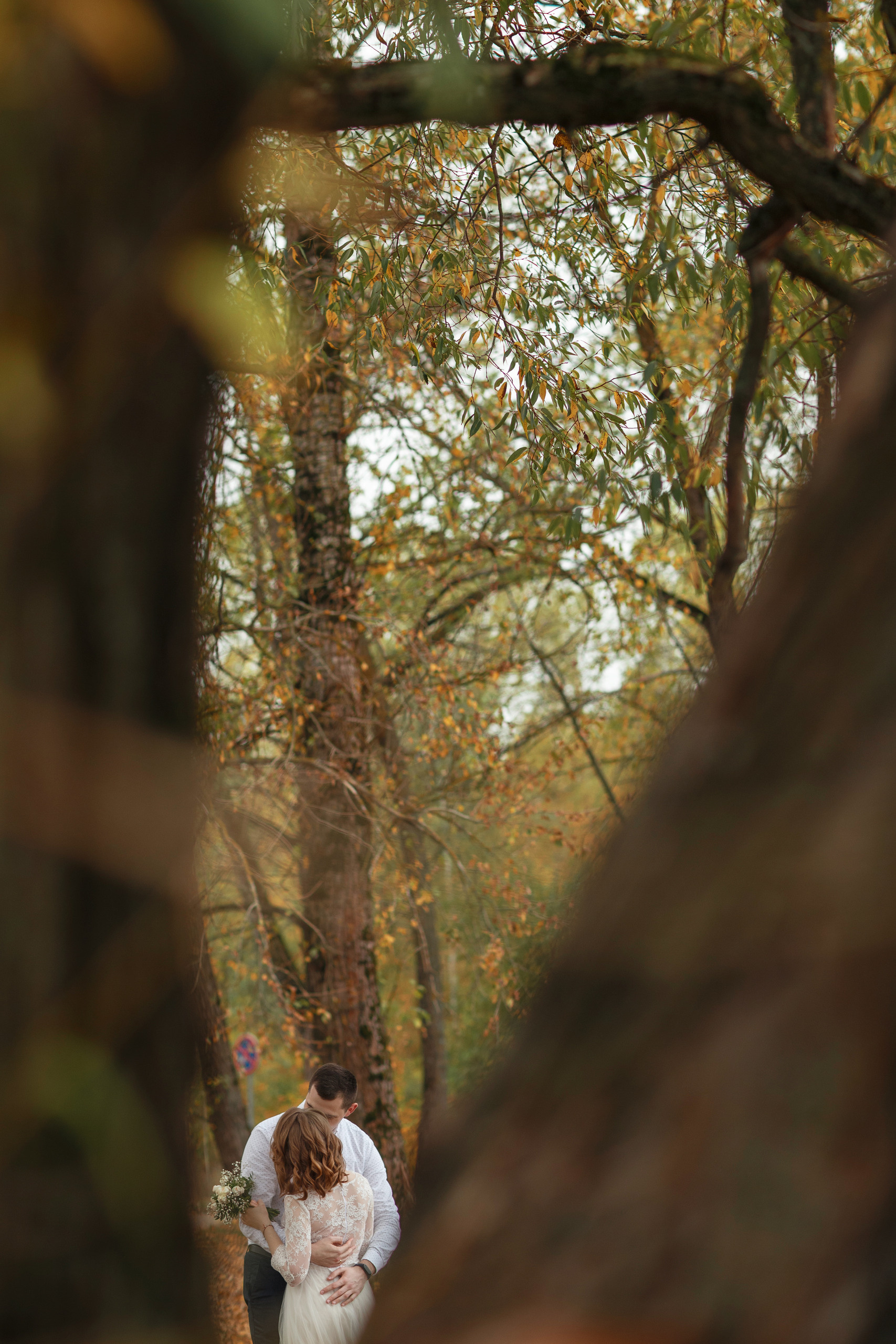 Свадебная прогулка красивой пары на берегу озера