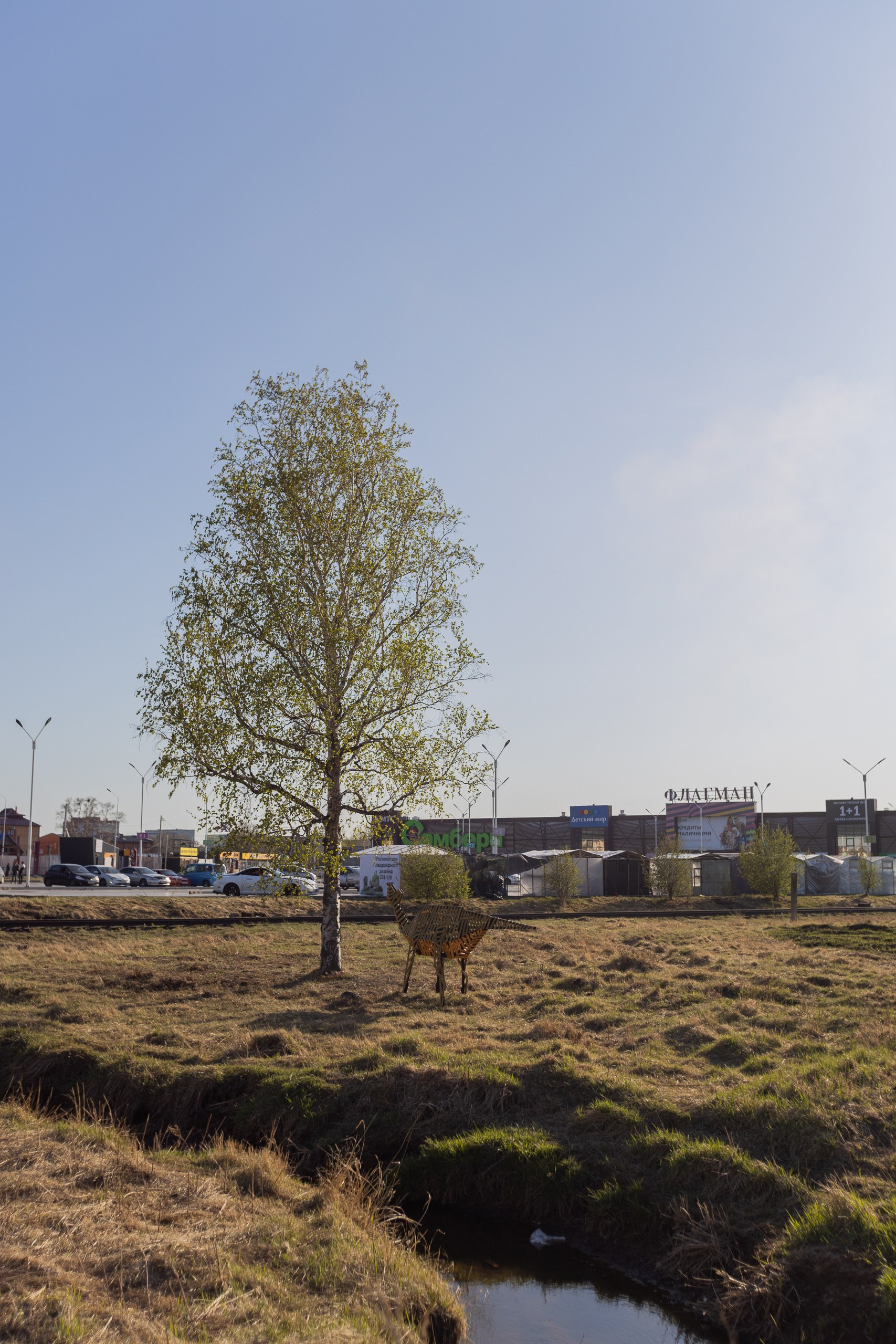 Виктория. Художник Рыбак Николай