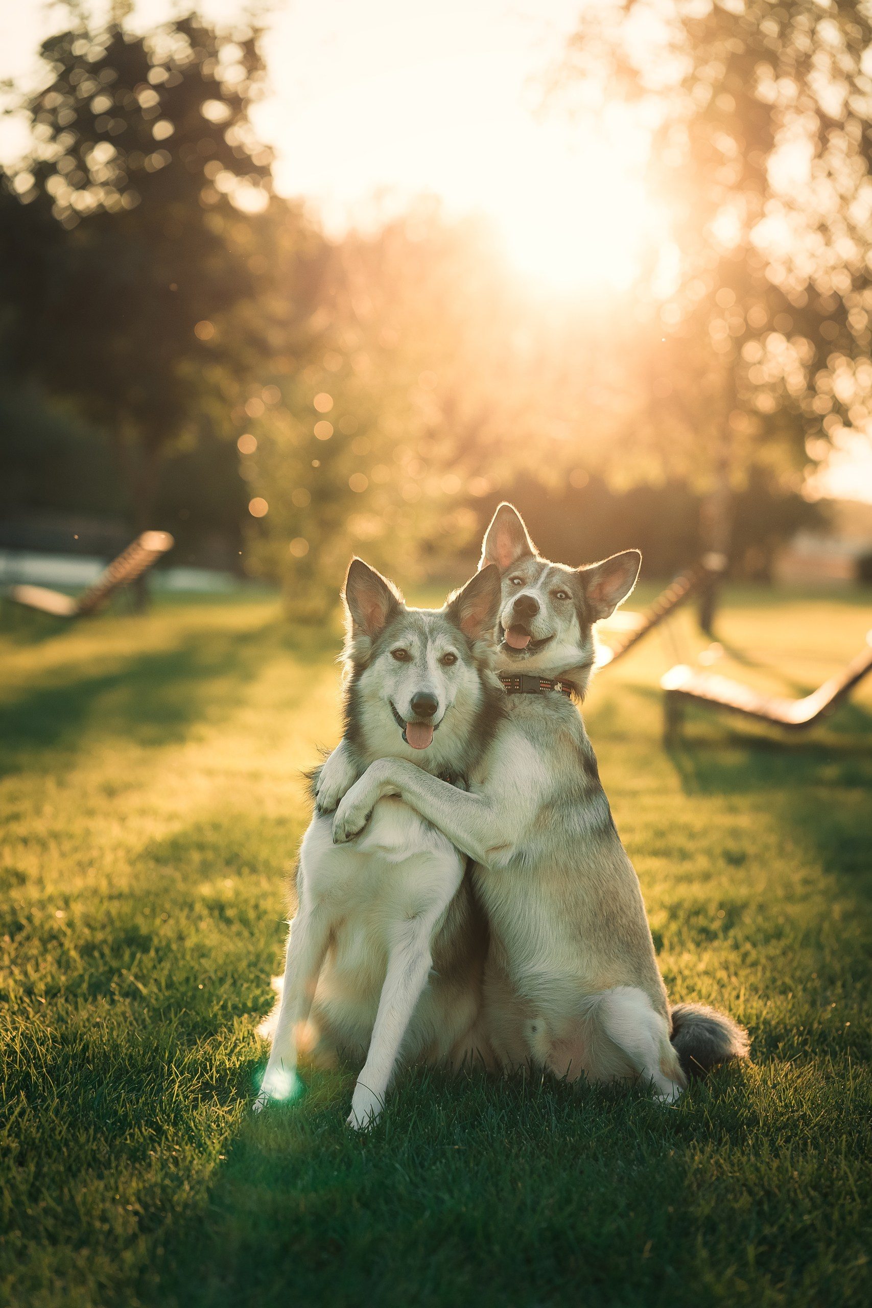 Фотограф-анималист в городе Москва