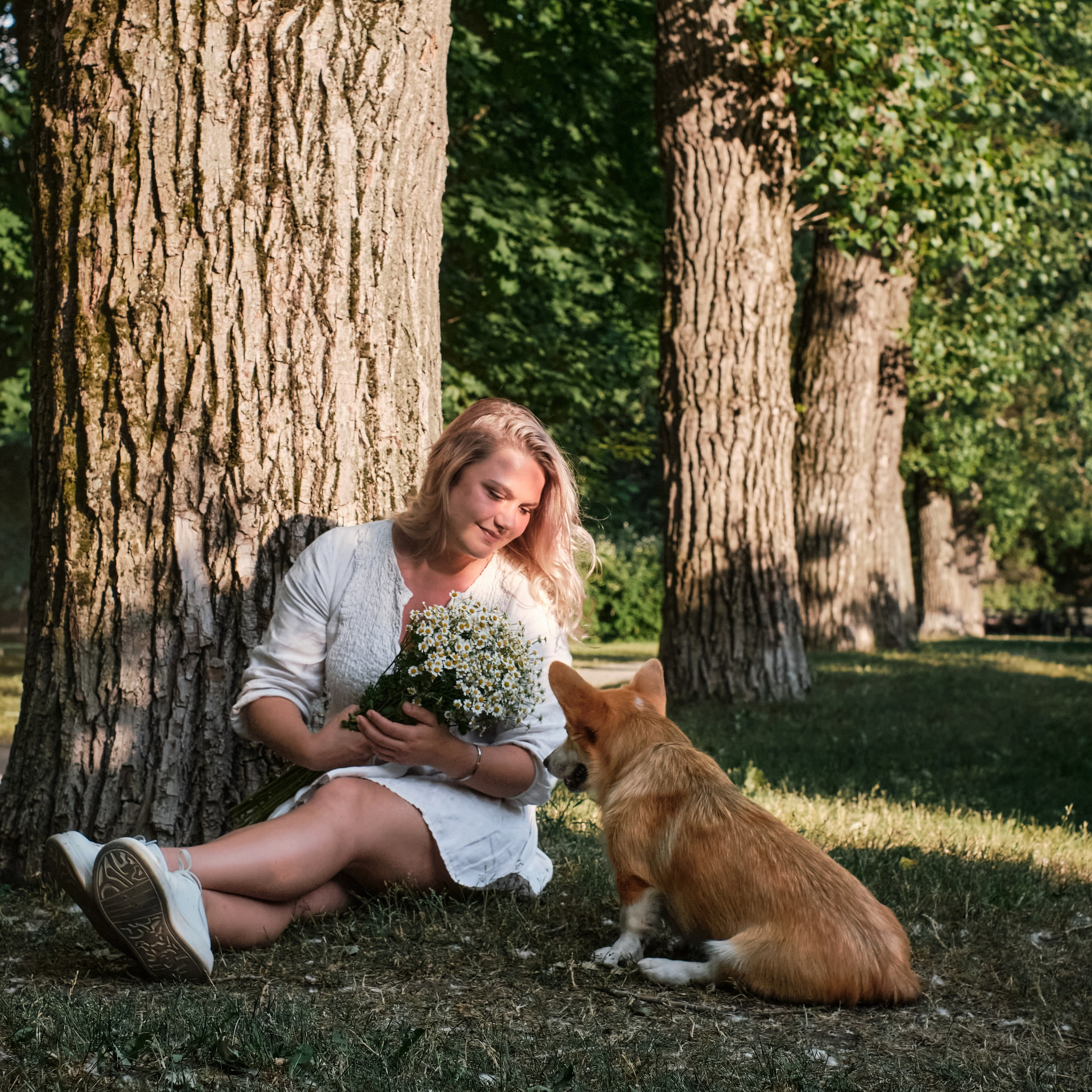 Питомцы. Фотограф в Москве Екатерина Толстых