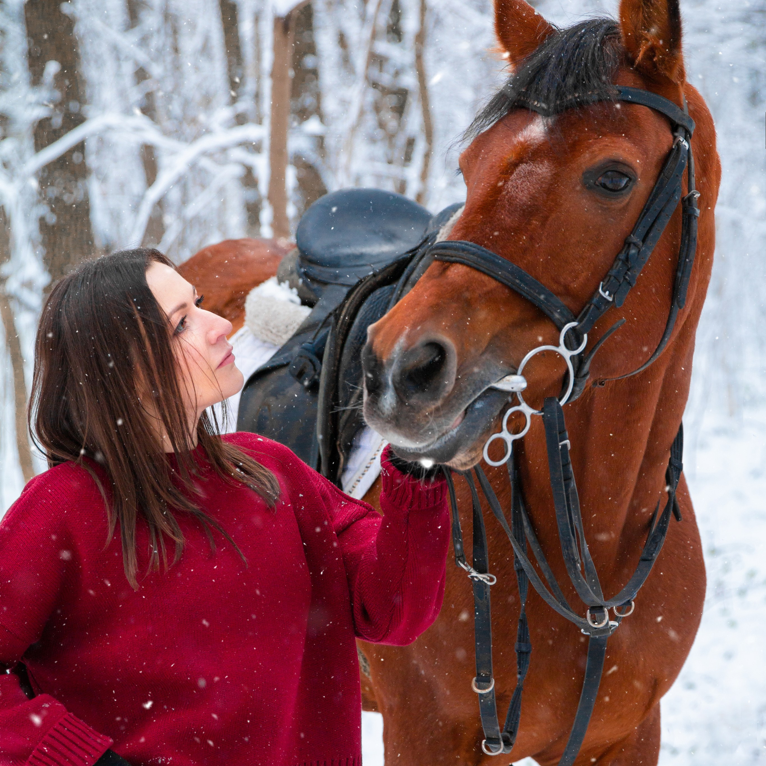 Фотосессии с лошадьми в Москве и Московской области. Конный фотограф Алеся Нечаева