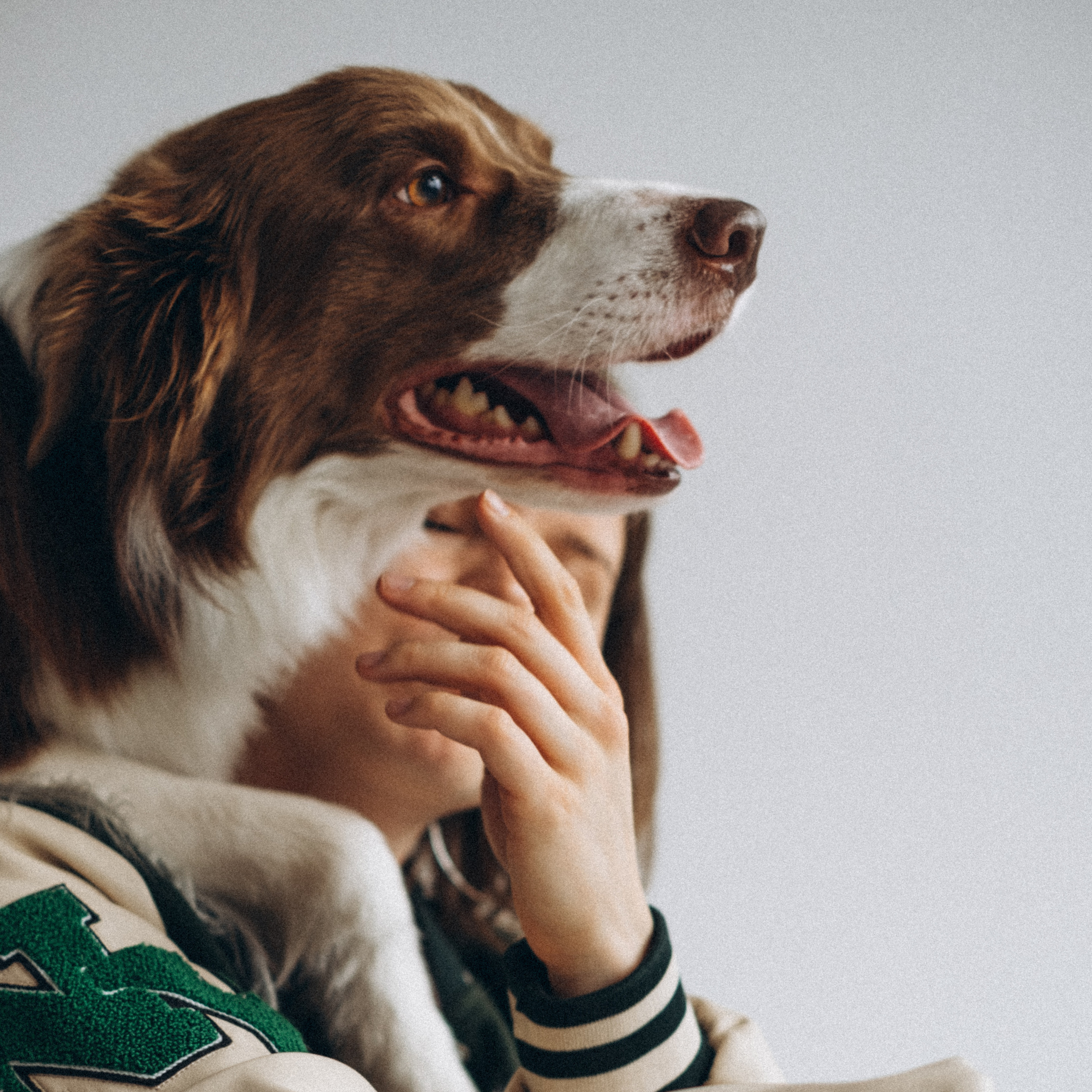 Семейный фотограф и анималист в Москве Анна Иванова