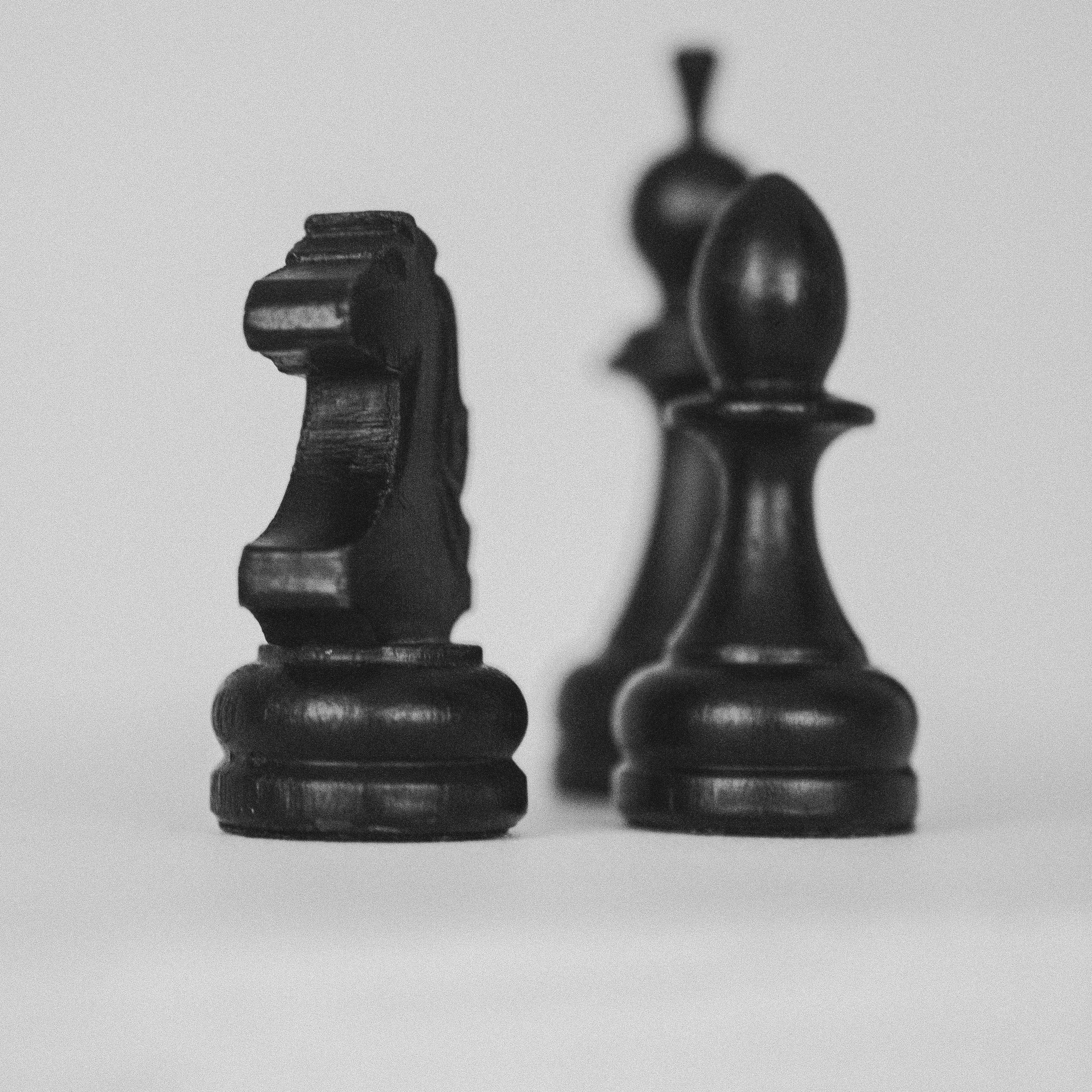 Контакты. Фотограф | Таганрог | Ростов