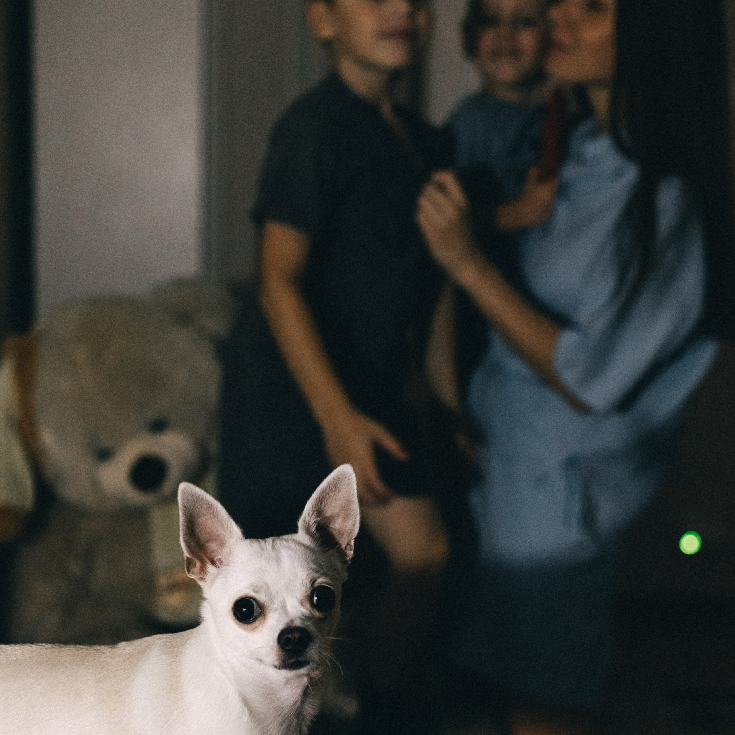 Услуги. Фотограф в Тамбове Анна Ковач