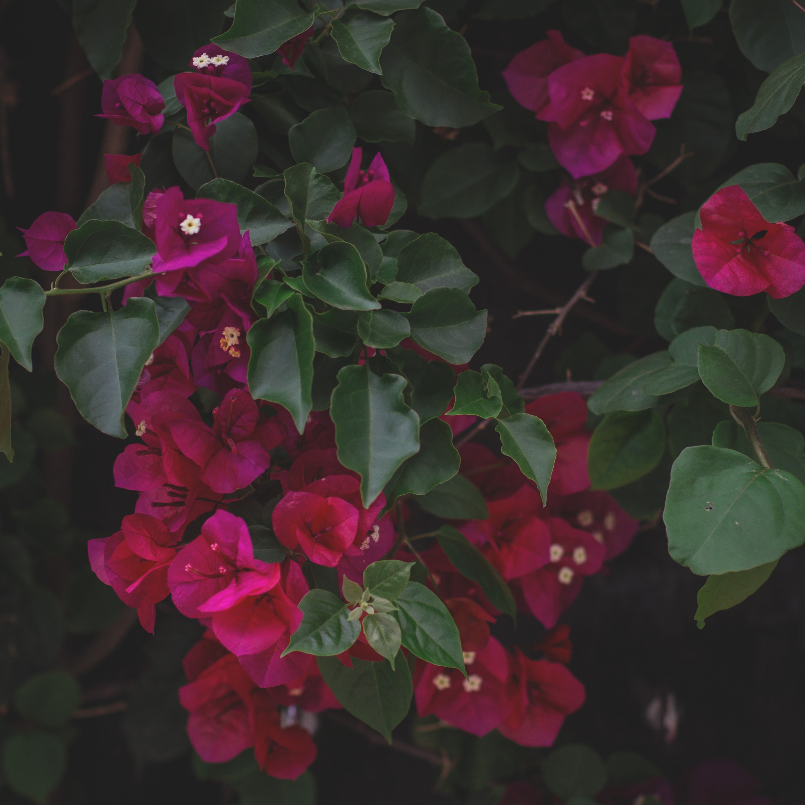 Фотограф в Краснодаре и Краснодарском крае