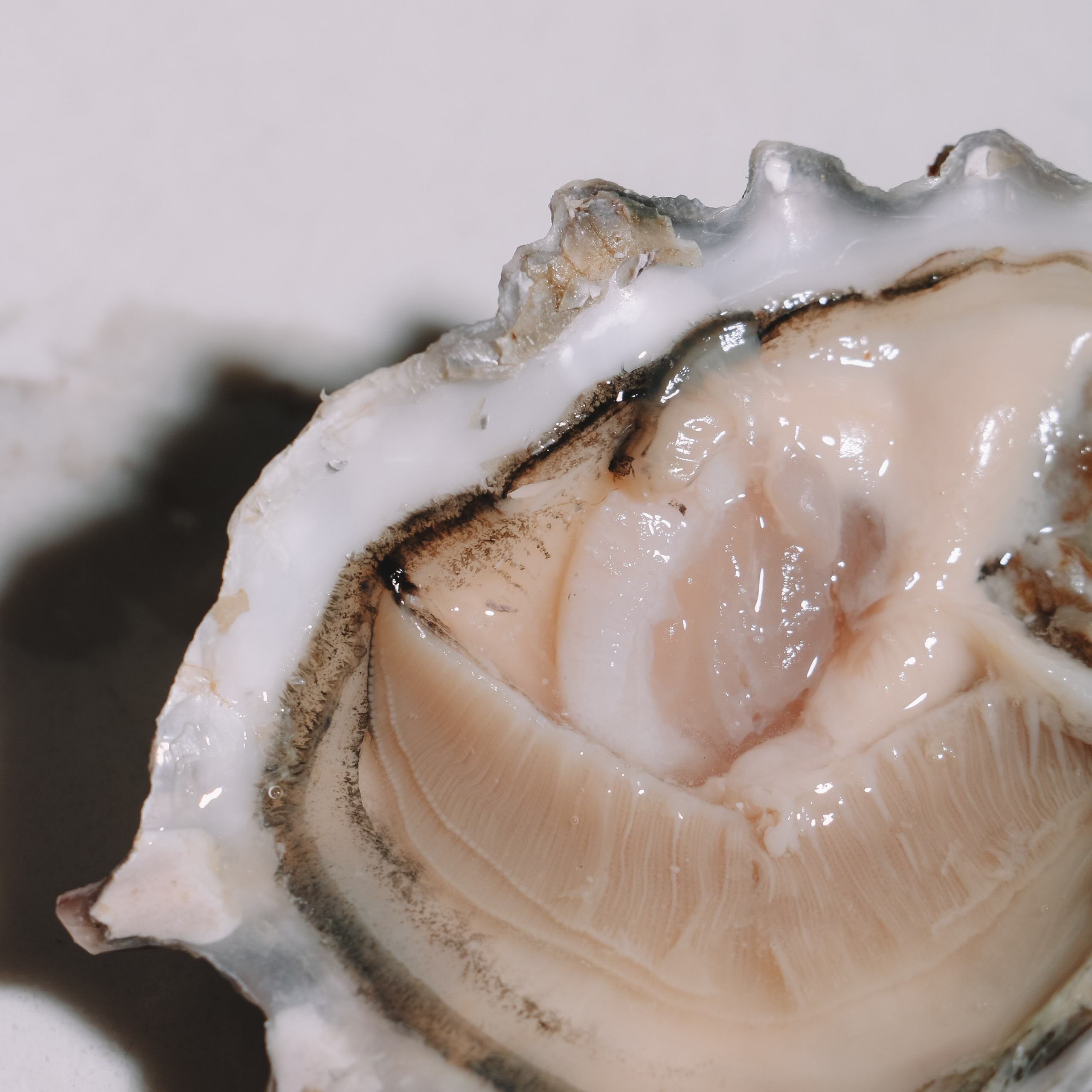 Контент-фотограф Калининград АНАСТАСИЯ ТКАЧЕВА