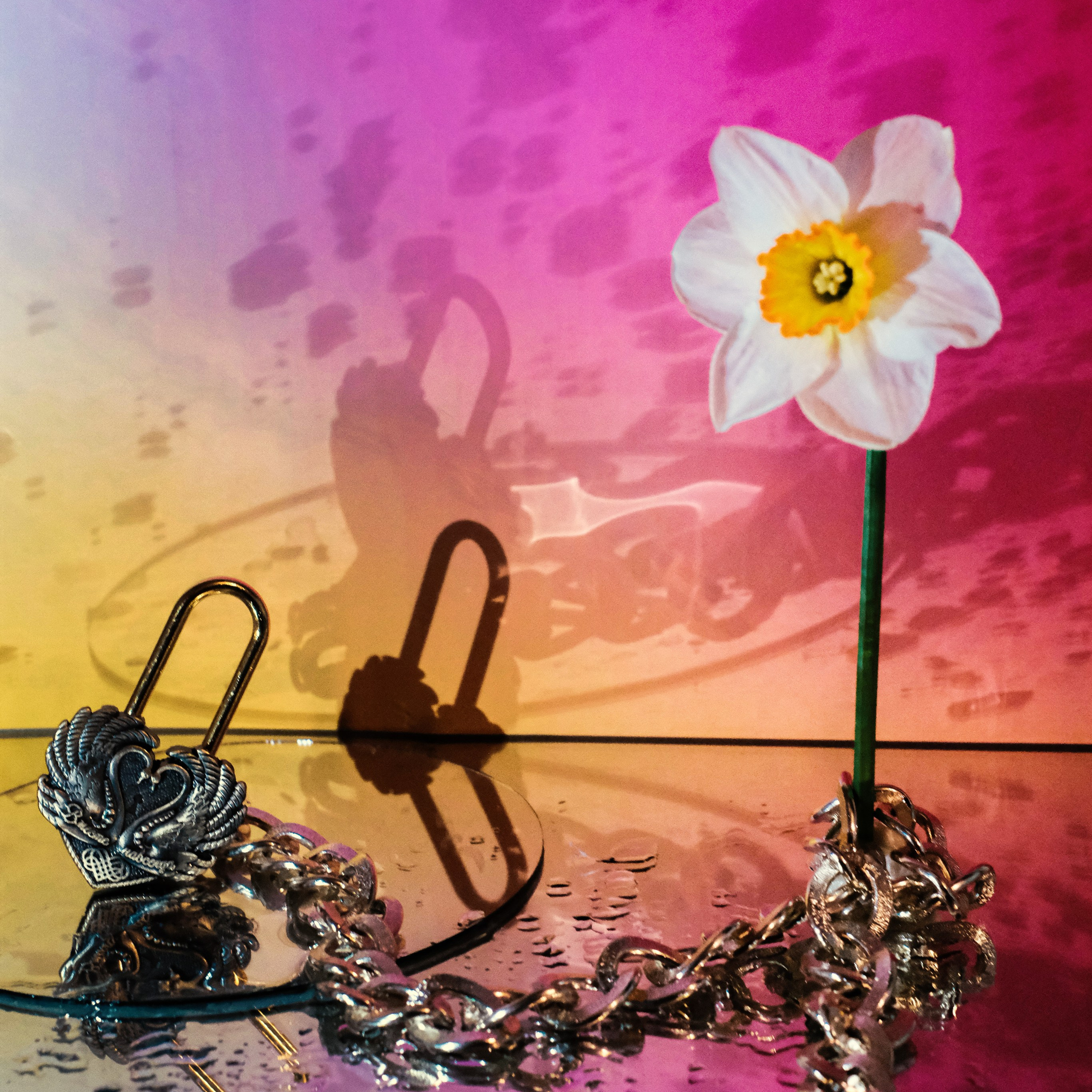 Стоимость фотосессий. Фотограф Алина Малина