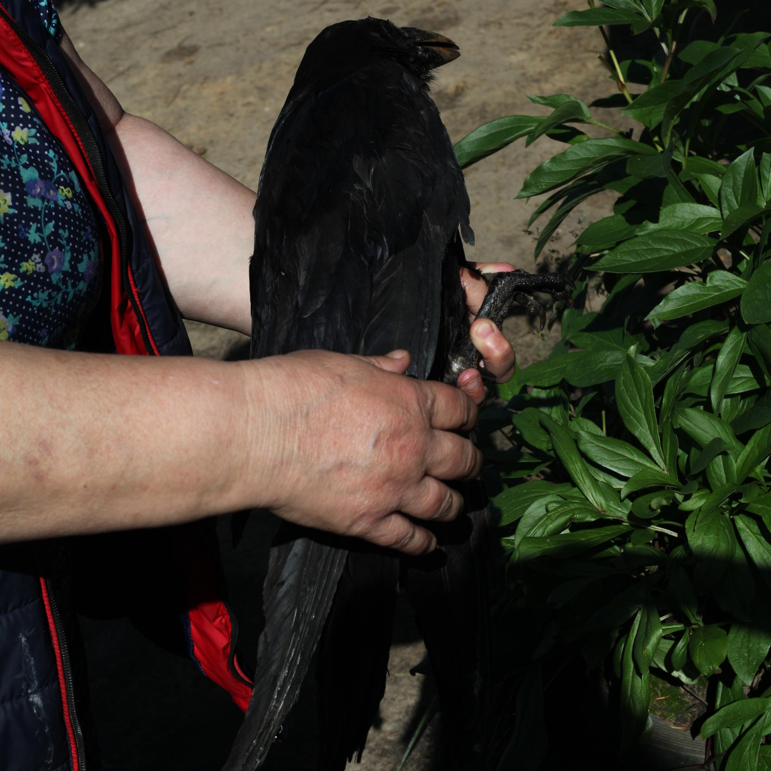 Куратор и фотограф Варвара Кулаева