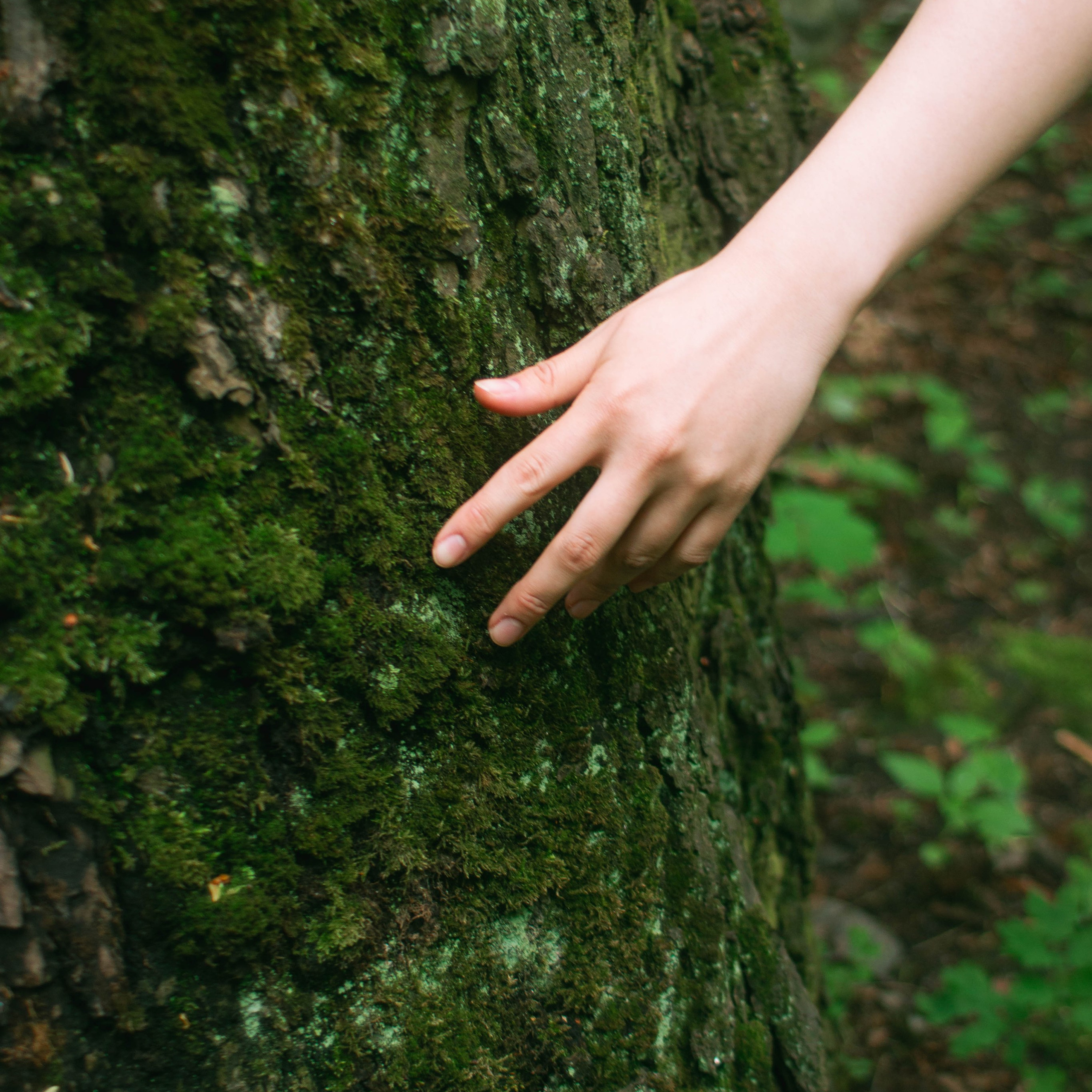 Контакты. Портретный фотограф из Санкт-Петербурга — Дана Мария