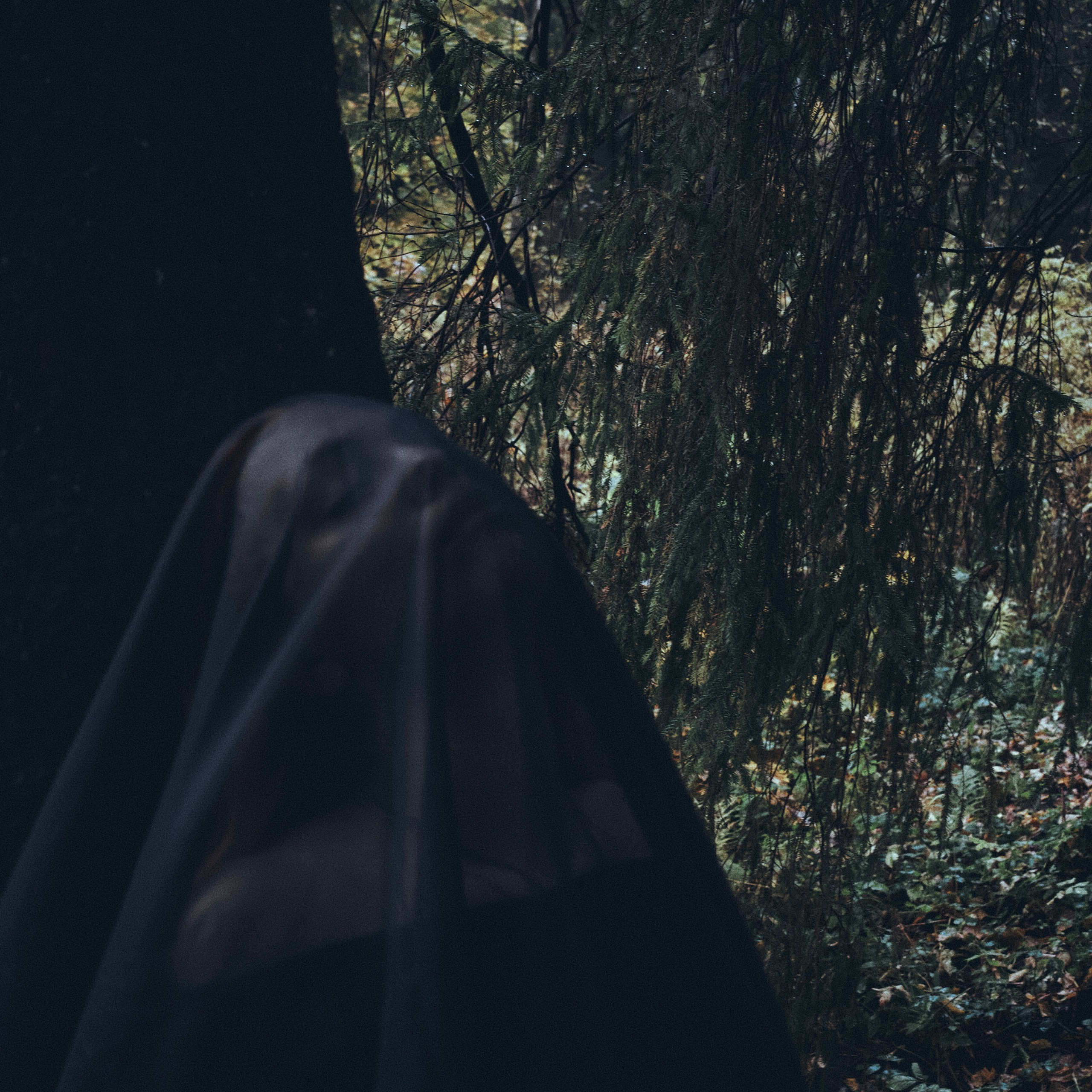 Услуги. Ваагн Малхасян | Фотограф | Санкт-Петербург. Создаю атмосферные кадры