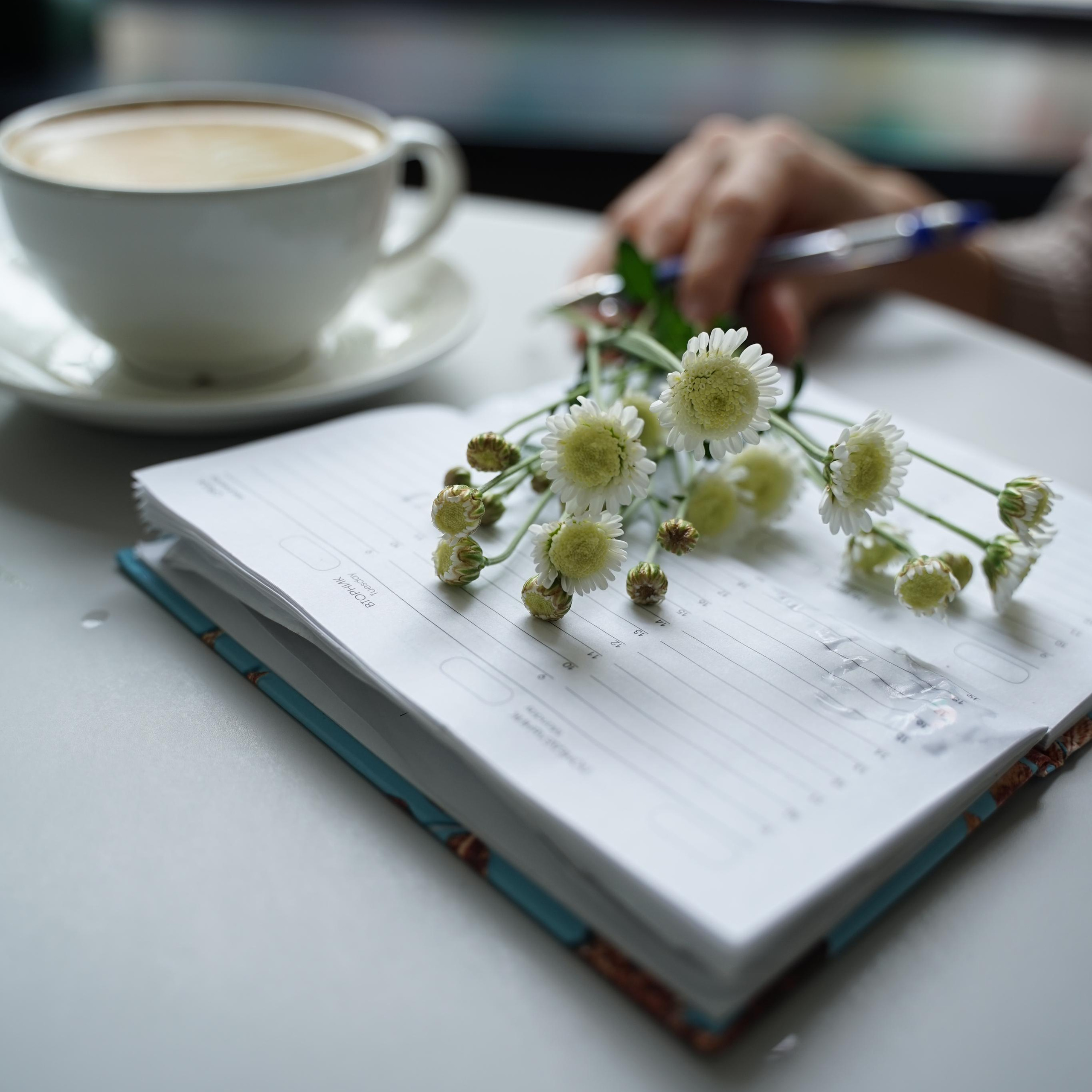 Контакты. Фотограф Таня Плотникова